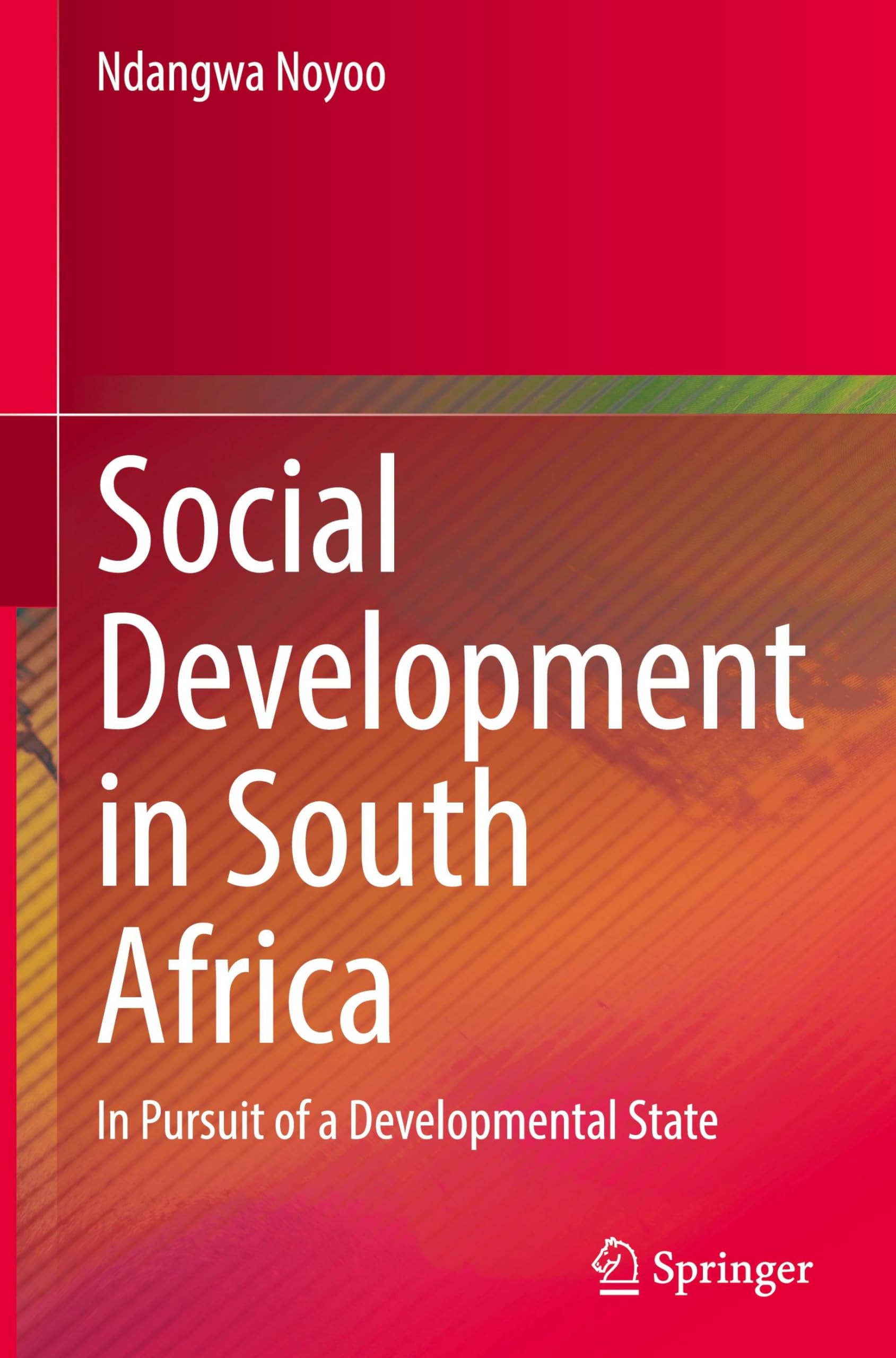 Social Development in South Africa Law