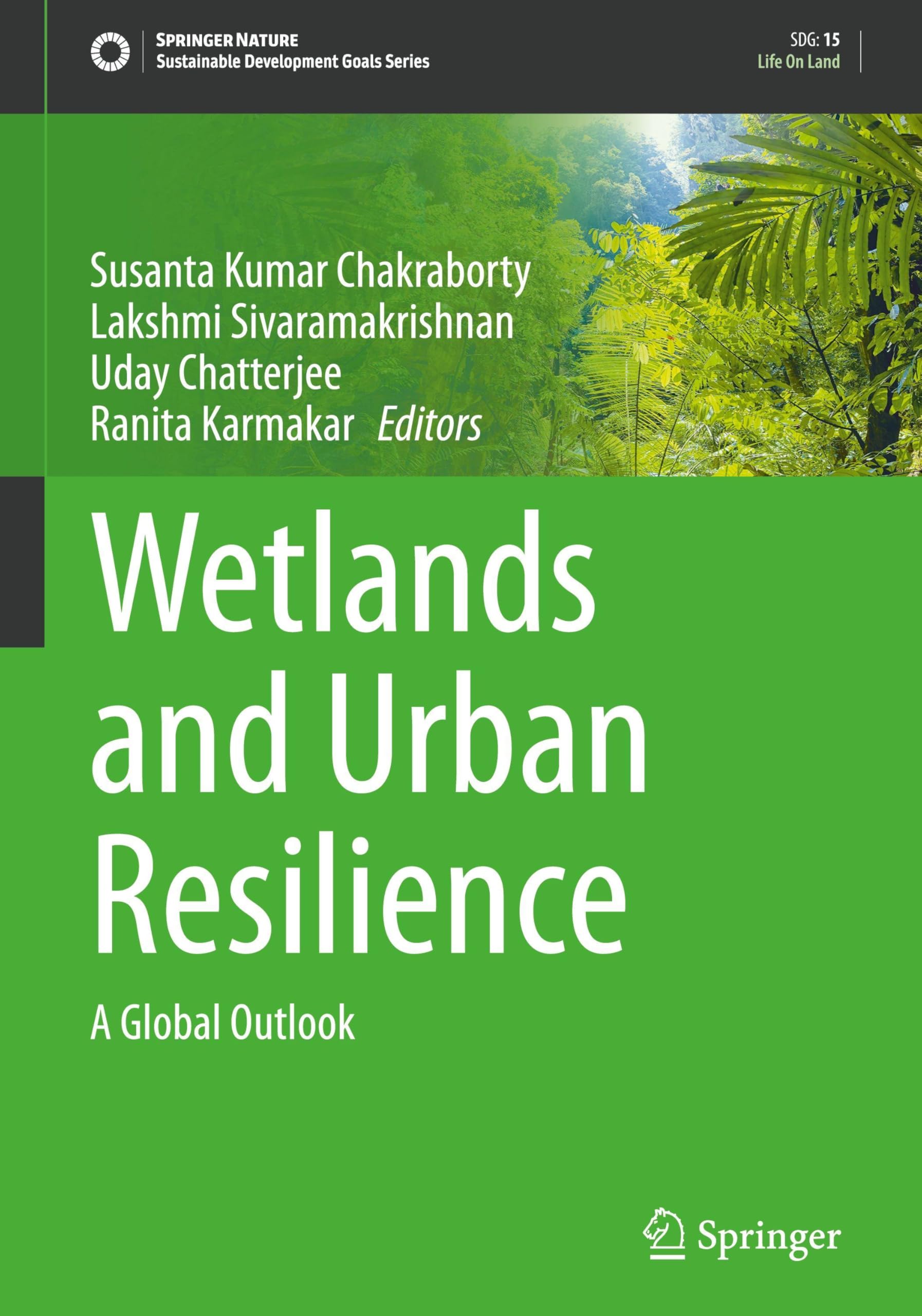 Wetlands and Urban Resilience Computer Science