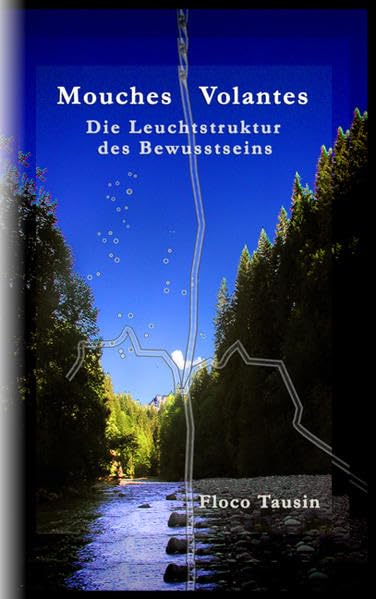 Mouches Volantes: Die Leuchtstruktur des Bewusstseins Contemporary literature