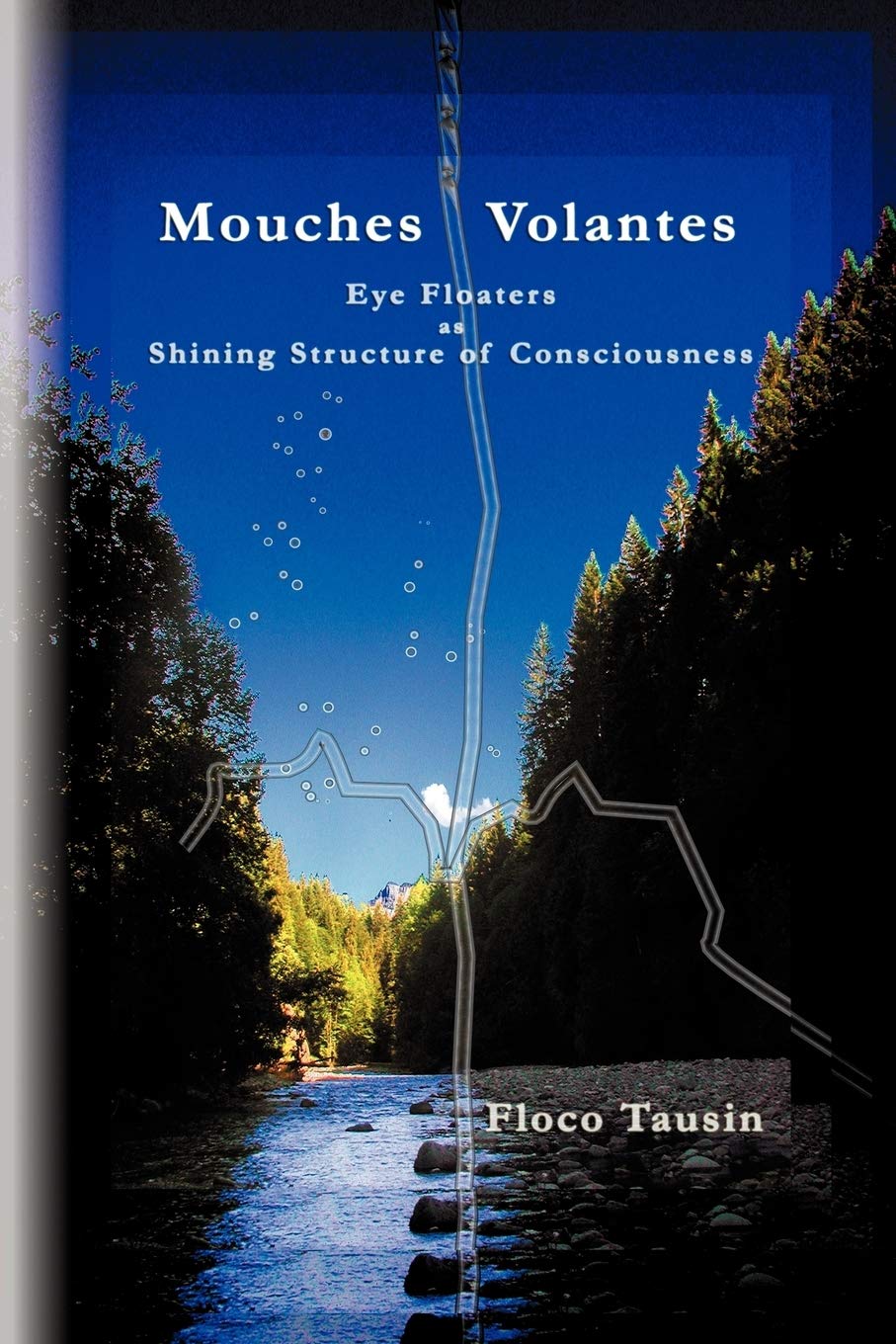Mouches Volantes: Eye Floaters as Shining Structure of Consciousness Contemporary literature