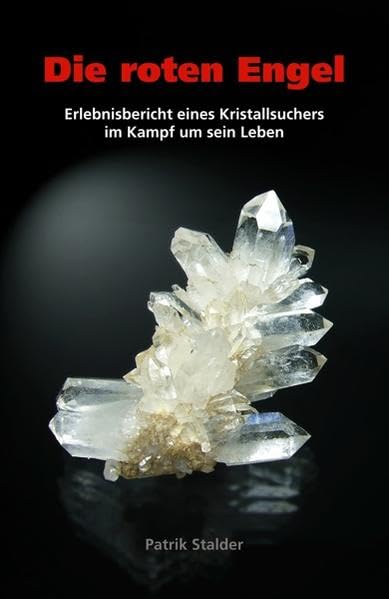 Die roten Engel: Erlebnisbericht eines Kristallsuchers im Kampf um sein Leben Contemporary literature