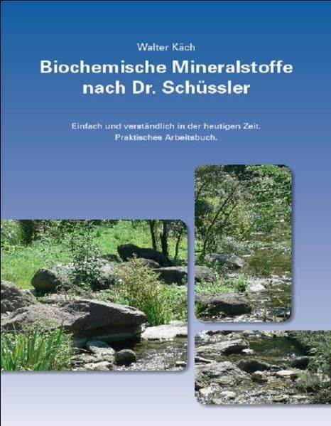 Biochemische Mineralstoffe nach Dr. Schüssler: Einfach und Verständlich in der heutigen Zeit. Praktisches Arbeitsbuch Medicine
