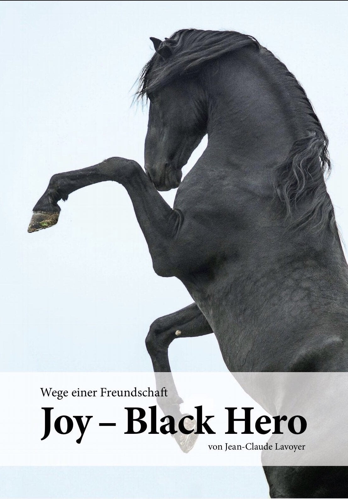 JOY - BLACK HERO / Wege einer Freundschaft book