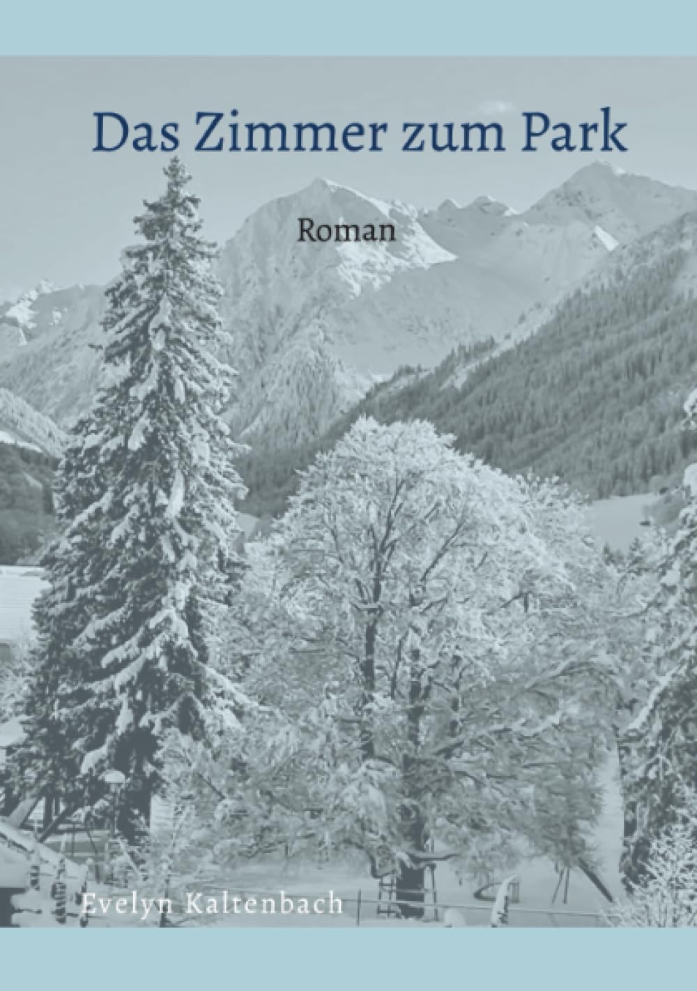 Das Zimmer zum Park Historical Fiction