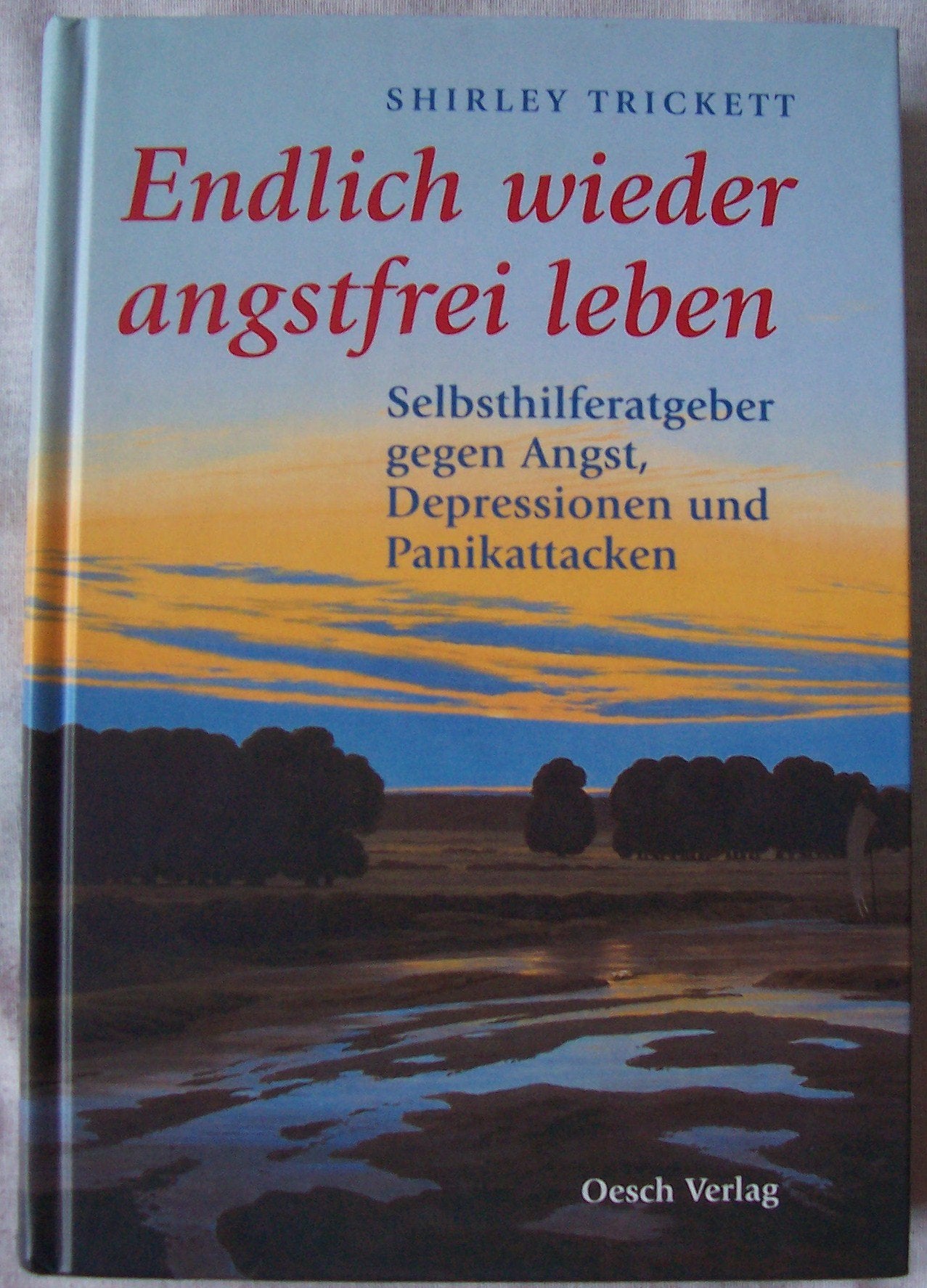 Endlich wieder angstfrei leben: Selbsthilferatgeber gegen Angst, Depressionen und Panikattacken Health, Nutrition & Fitness