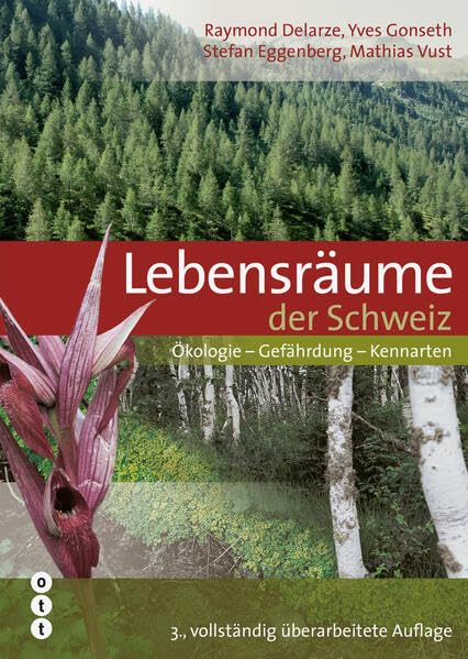 Von der Bildungspolitik zur Schulpraxis: Perspektiven auf die Einführung des Modullehrplans Medien und Informatik Mathematics