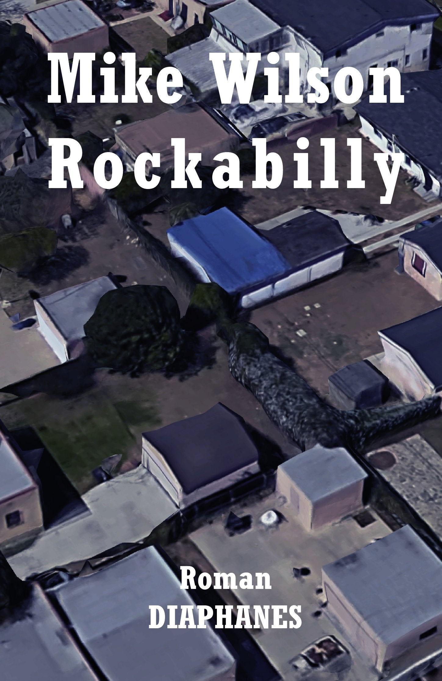 Rockabilly: Roman (Literatur) Contemporary literature