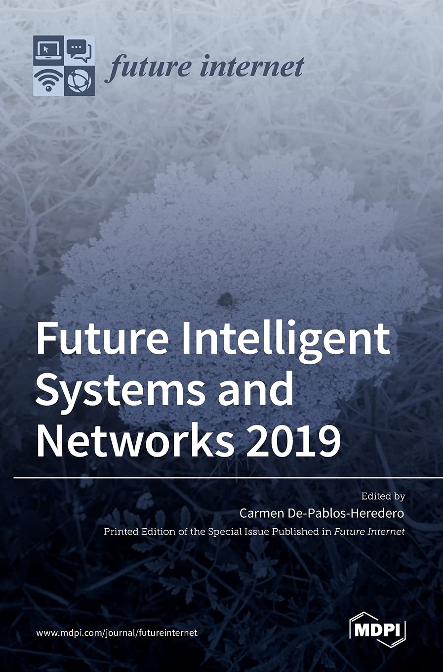 Product Image: Future Intelligent Systems and Networks 2019