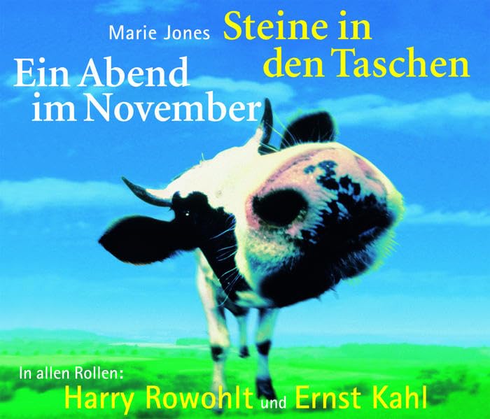 Steine in den Taschen. Ein Abend im November. 4 Audio-CDs. Books