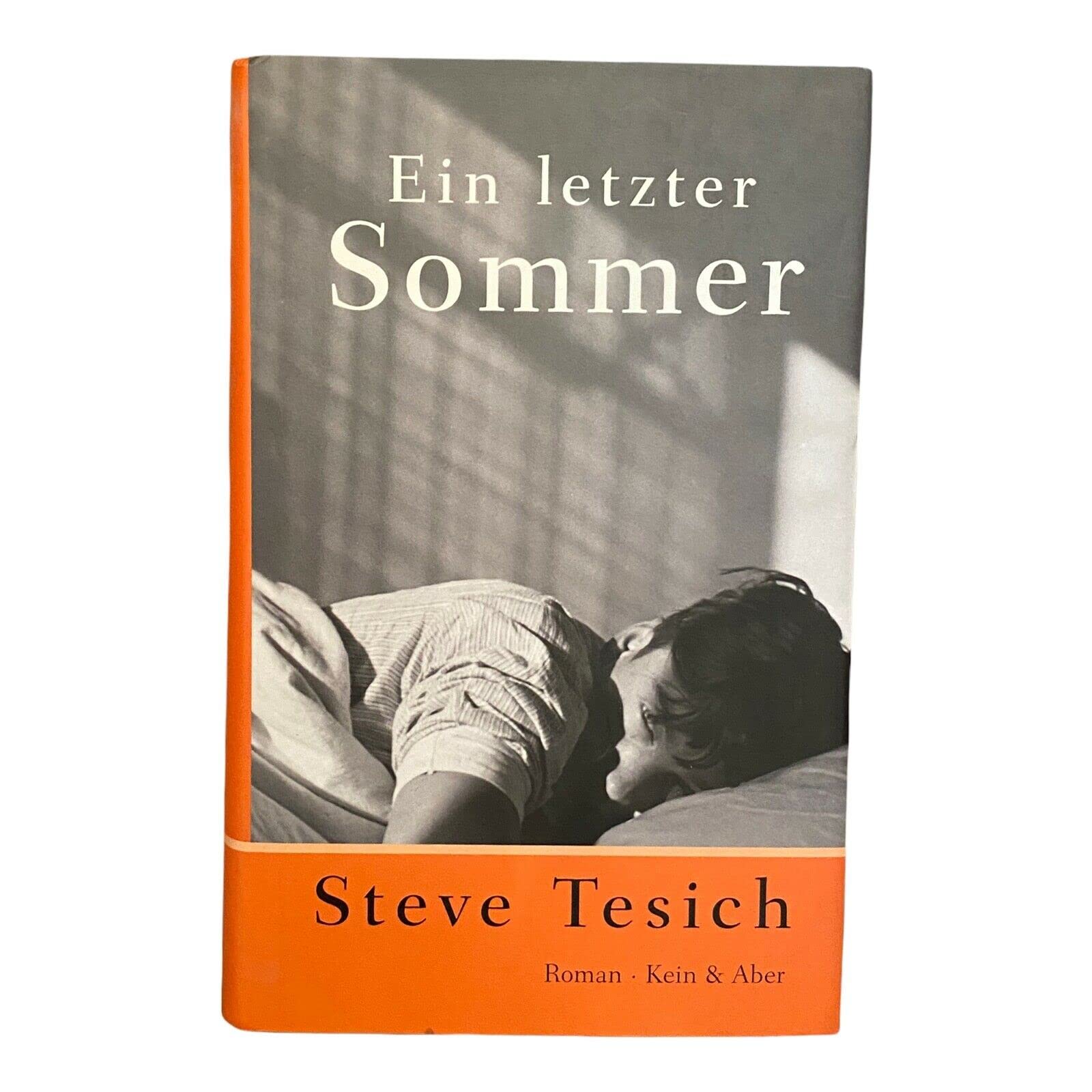 Ein letzter Sommer Contemporary literature Books