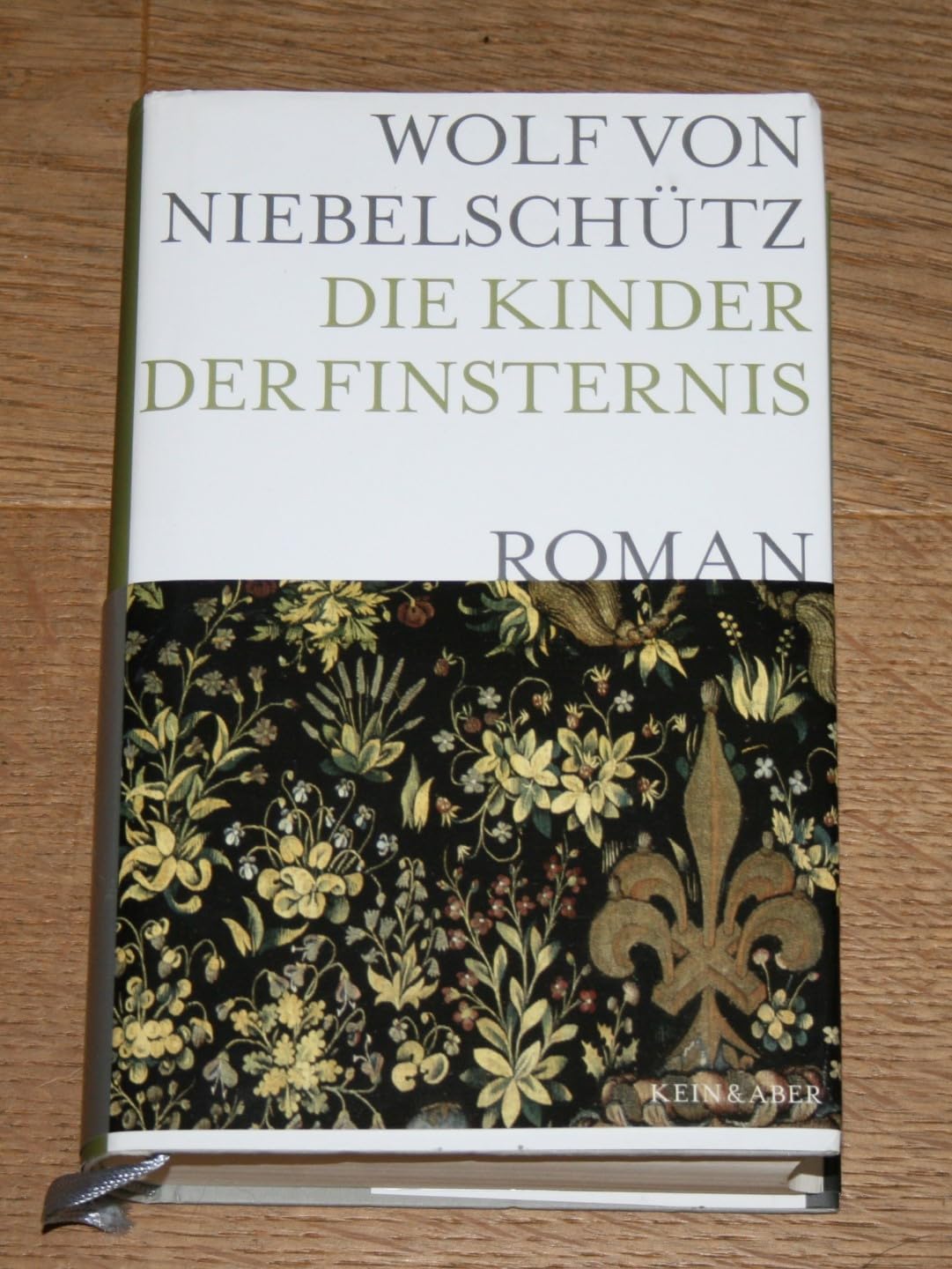 Die Kinder der Finsternis: Roman Historical Fiction