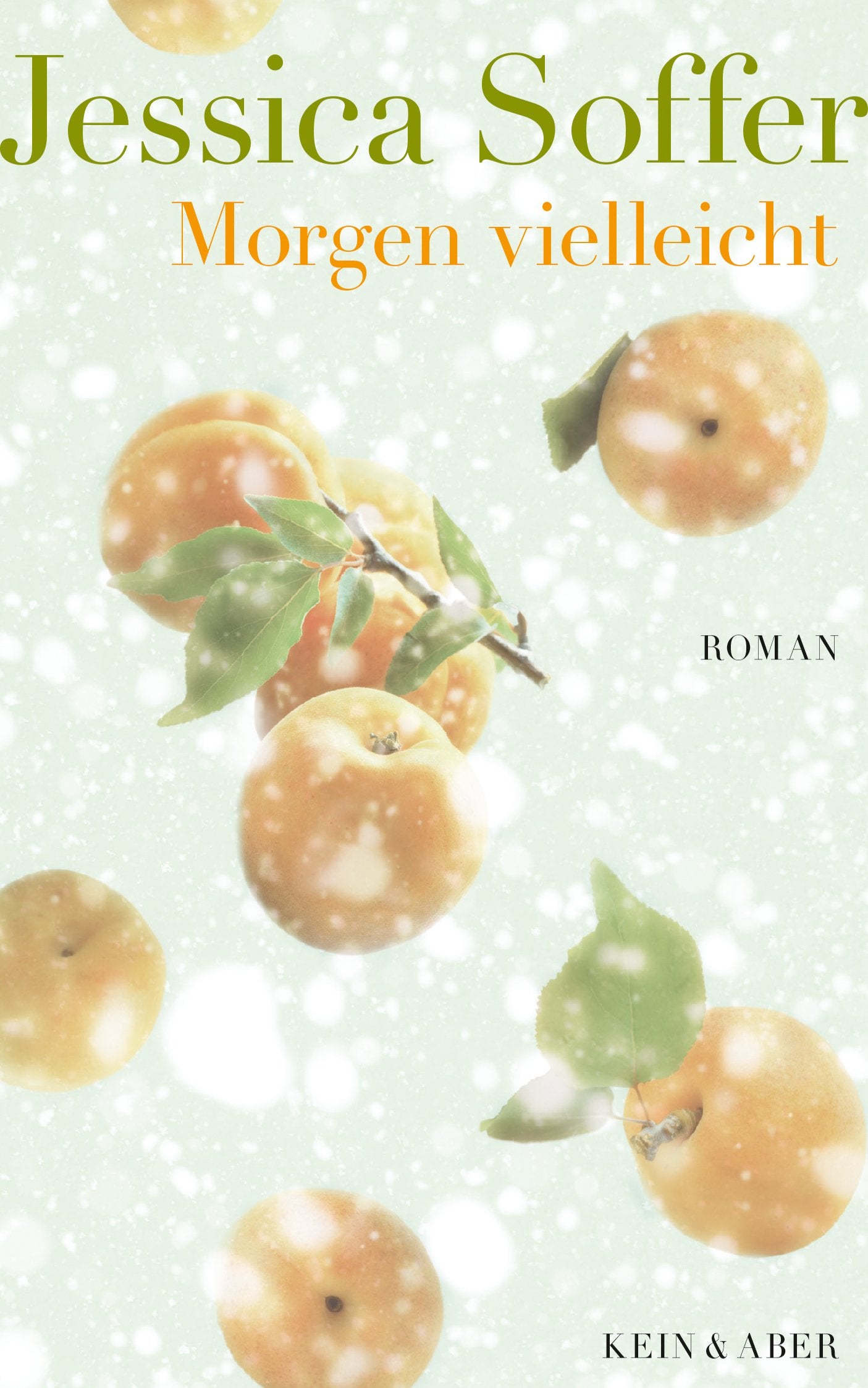 Morgen vielleicht Contemporary literature Books
