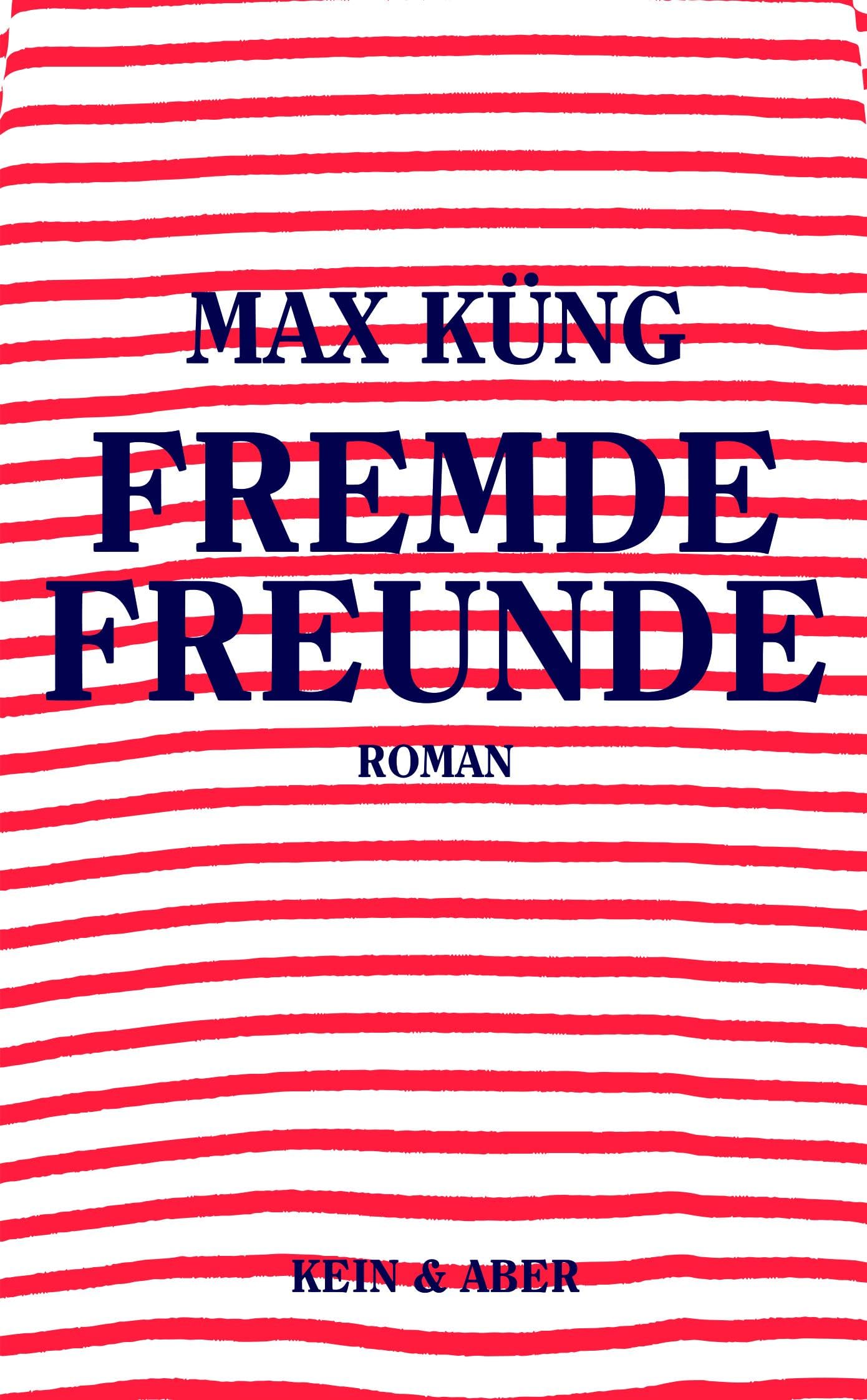 Fremde Freunde: Roman Humour & Satire