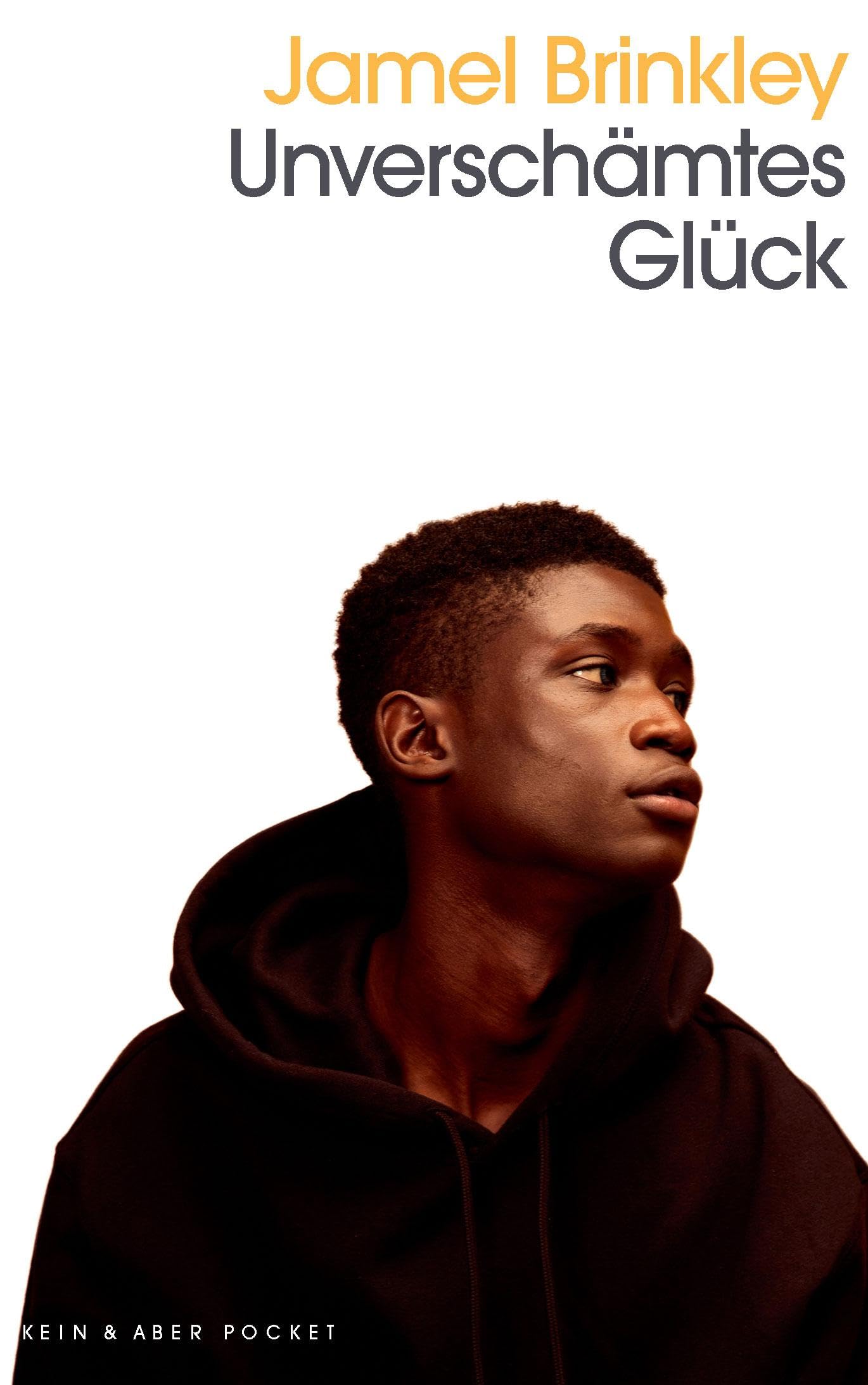 Unverschämtes Glück Essays & Short Stories
