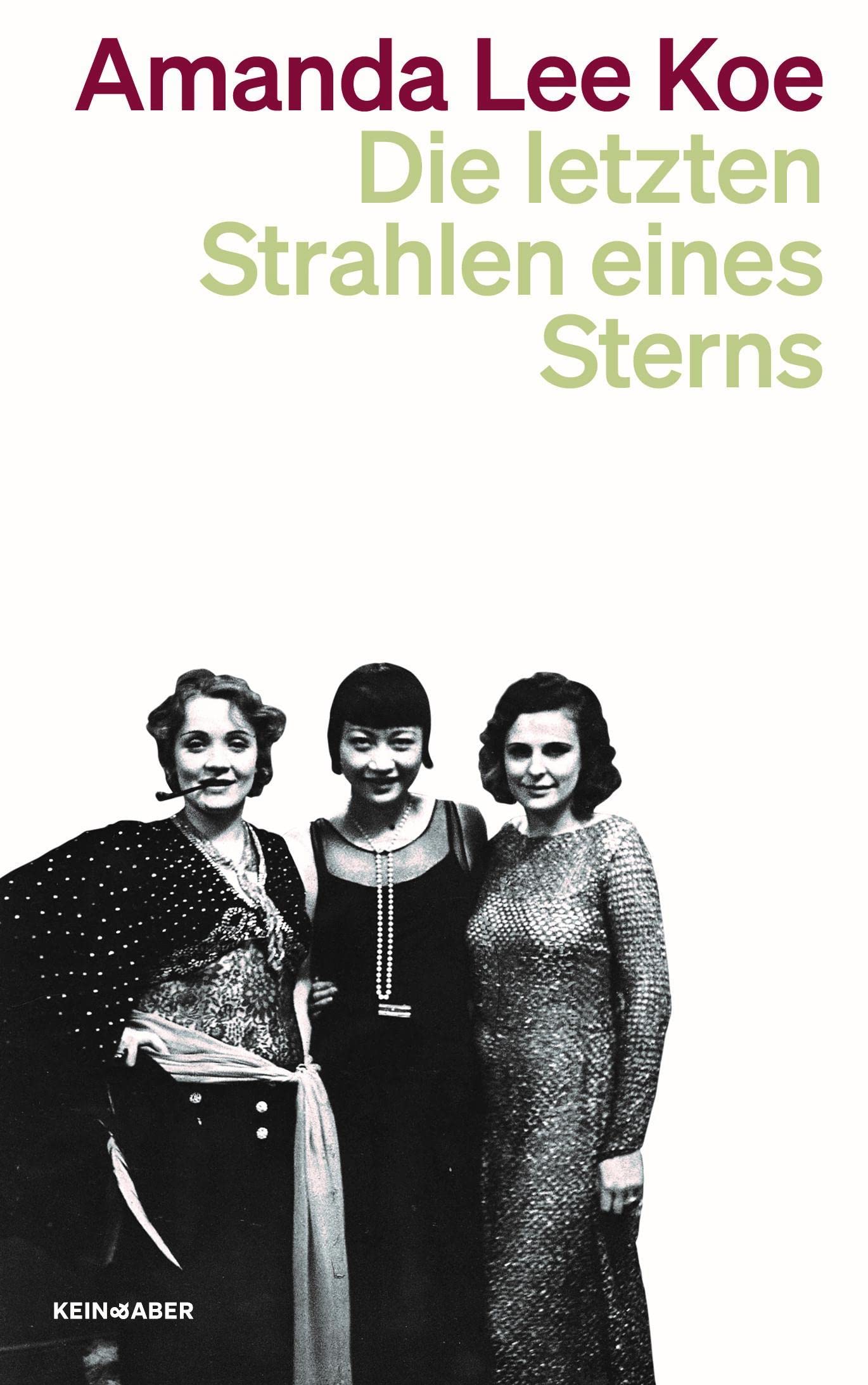 Die letzten Strahlen eines Sterns Contemporary literature Books