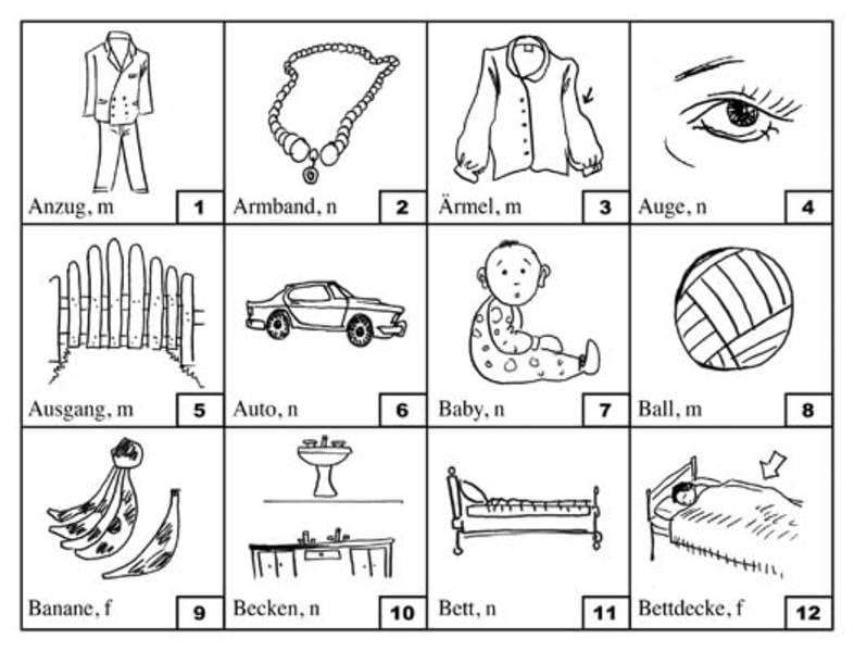 Trainer Grundwortschatz: 120 Substantive – 120 Adjektive – 120 Verben. Deutsch / phonetisch / Hocharabisch Foreign Languages ​​& Dictionaries