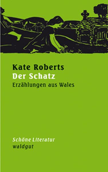Der Schatz: Erzählungen aus Wales (Schöne Literatur (SL)) Contemporary literature