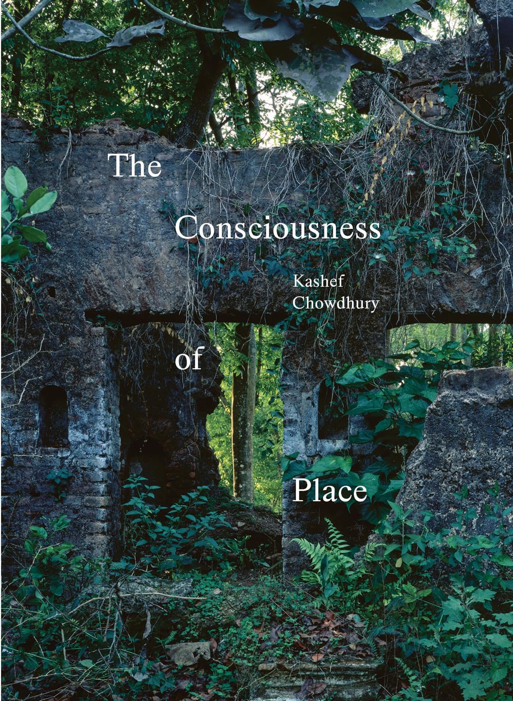 The Consciousness of Place Architecture