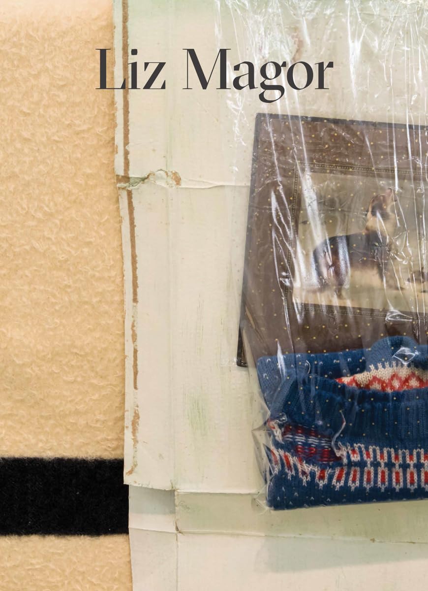 Liz Magor Film, Art & Culture