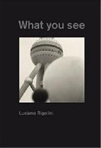 Luciano Rigolini What You See book