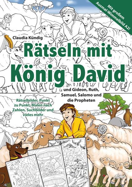 Rätseln mit König David (Rätseln mit ... / mit A2-Ausmal-Wimmelbild) book