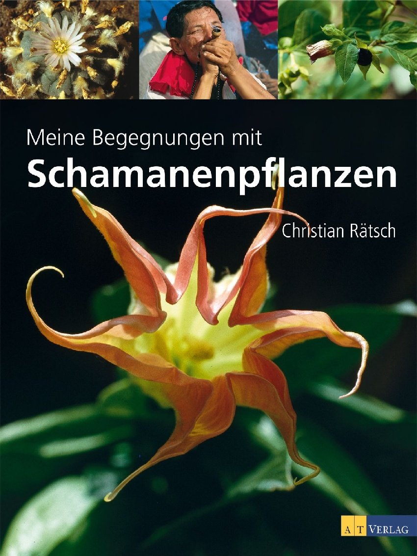 Meine Begegnungen mit Schamanenpflanzen Medicine