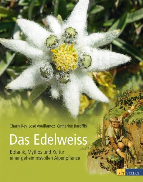 Das Edelweiss: Botanik, Mythos und Kultur einer geheimnisvollen Alpenpflanze Leisure, Home & Garden