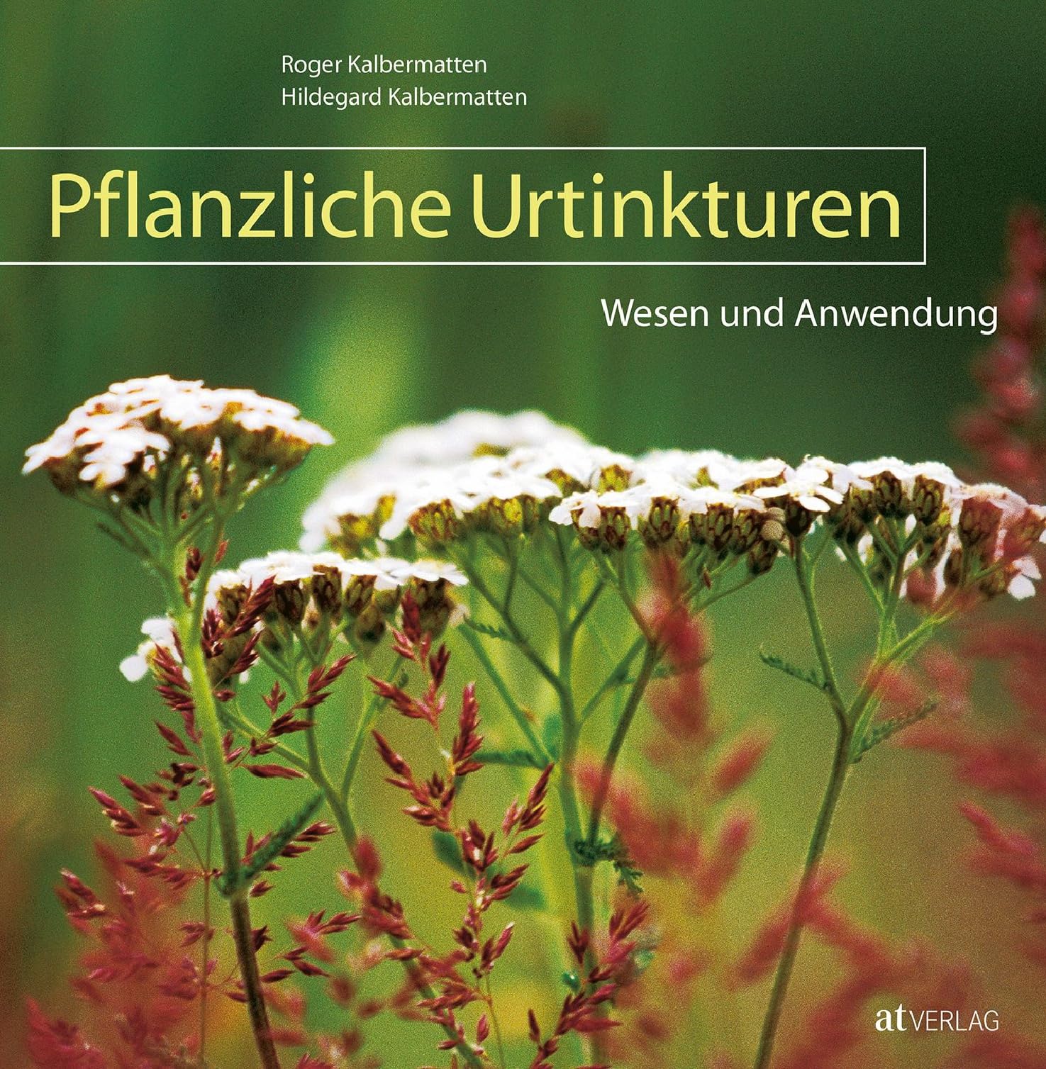 Pflanzliche Urtinkturen Medicine