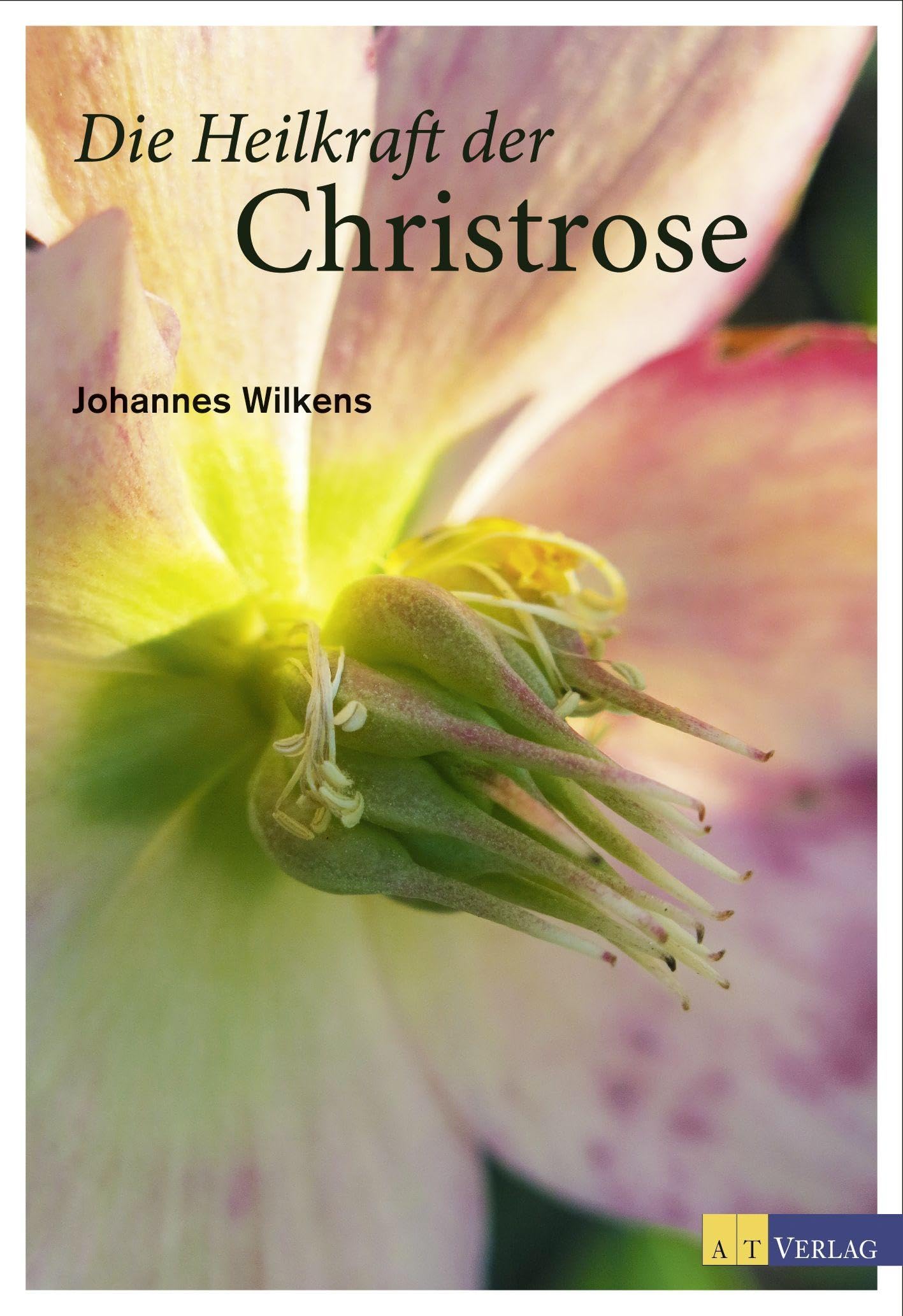 Die Heilkraft der Christrose Health, Nutrition & Fitness