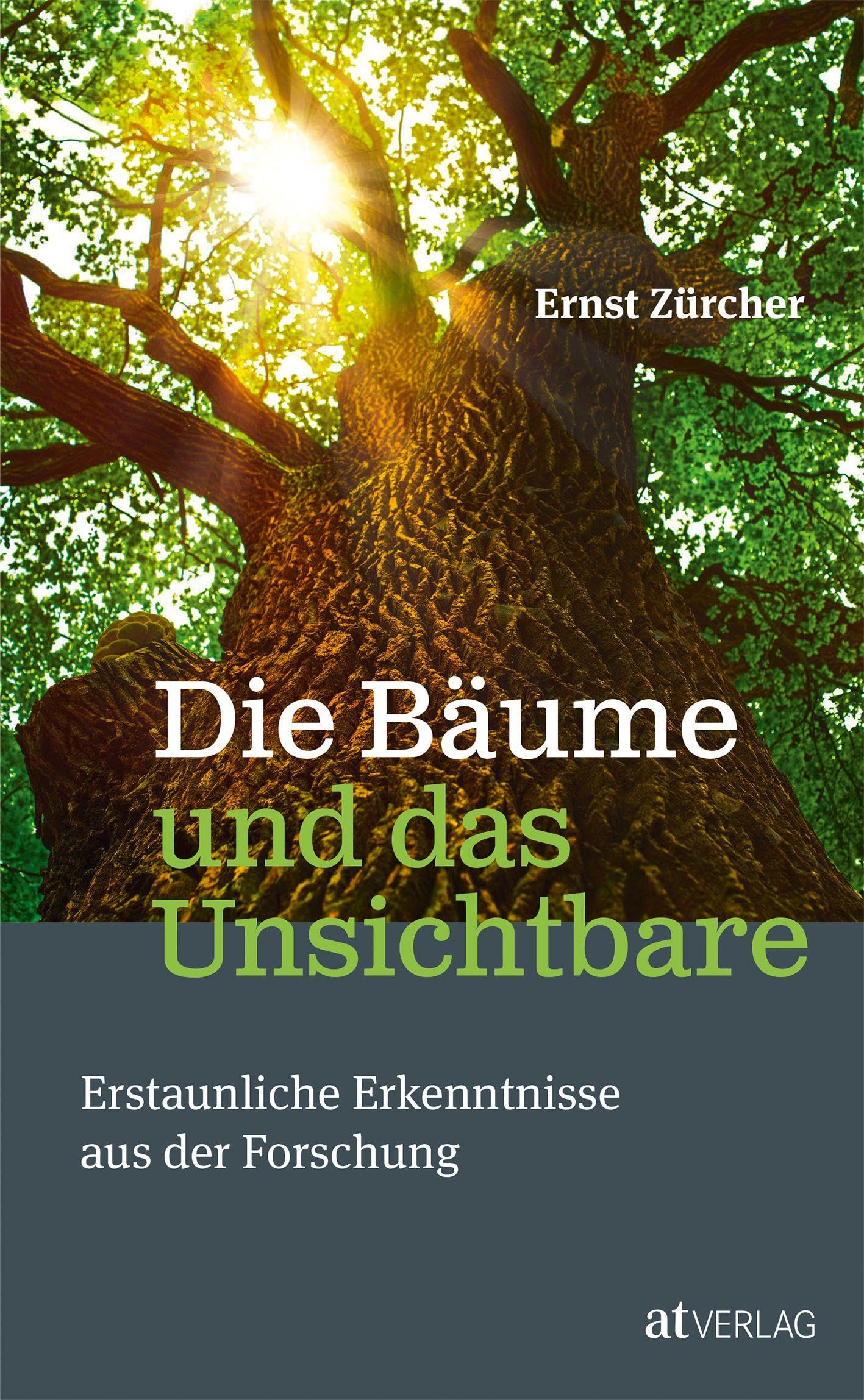 Product Image: Die Bäume und das Unsichtbare