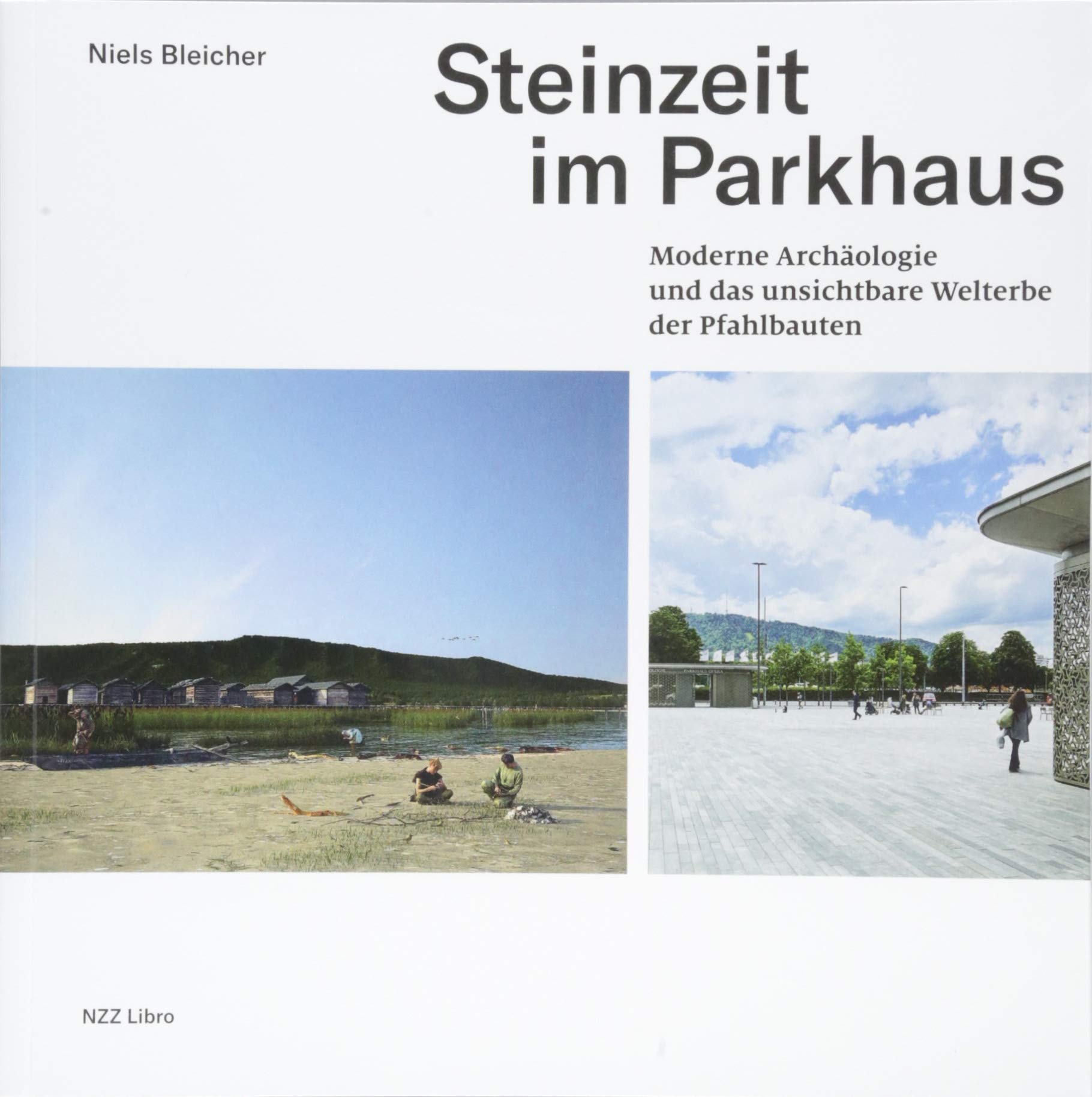 Product Image: Steinzeit im Parkhaus