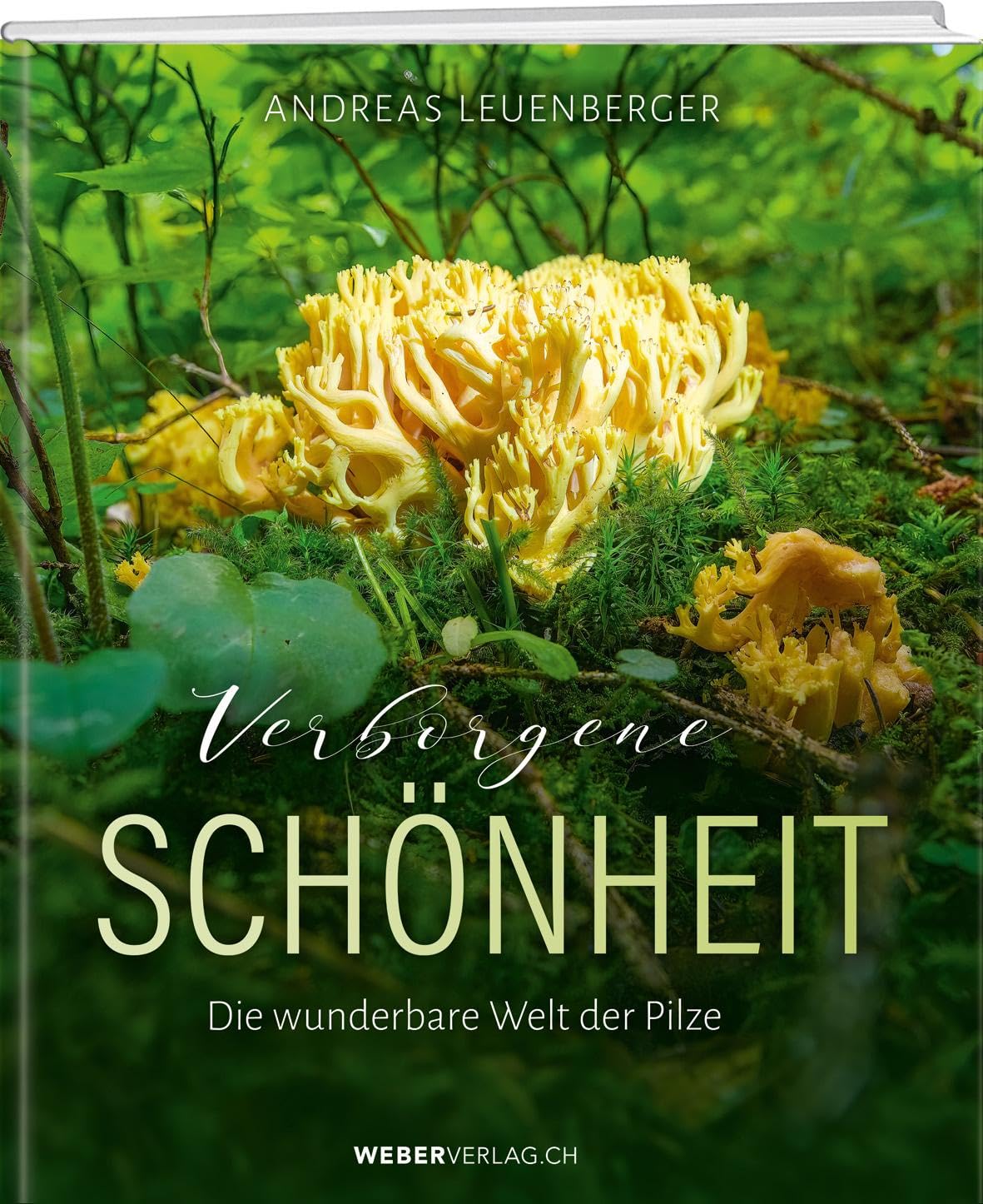 Verborgene Schönheit: Die wunderbare Welt der Pilze Leisure, Home & Garden
