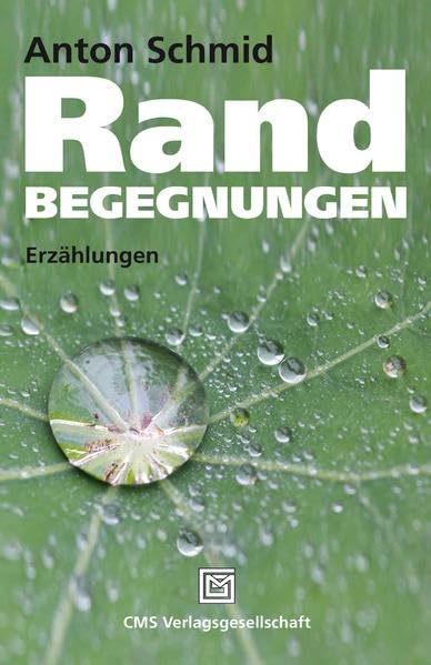 Randbegegnungen: Erzählungen Contemporary literature
