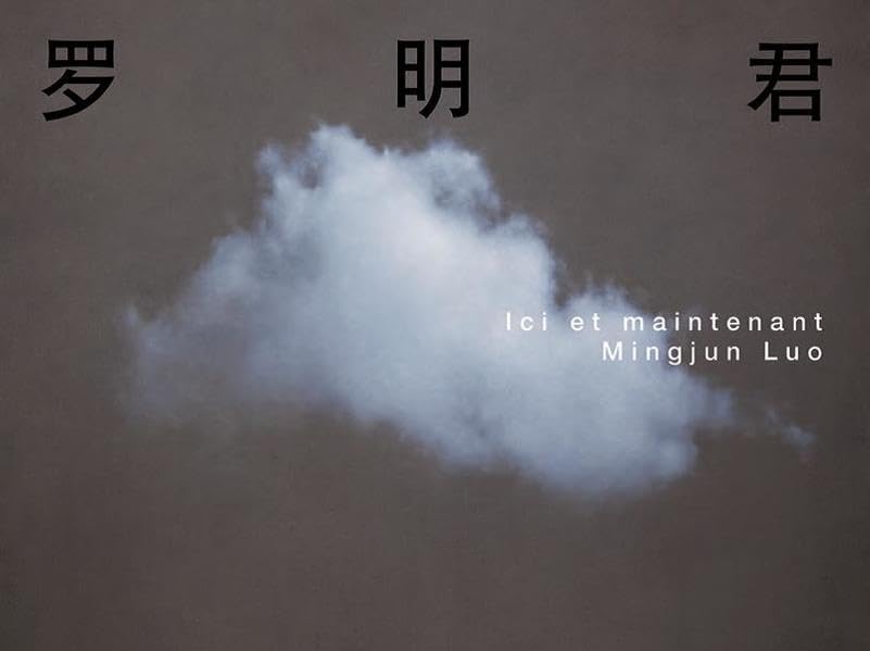 Mingjun Luo : ici et maintenant book