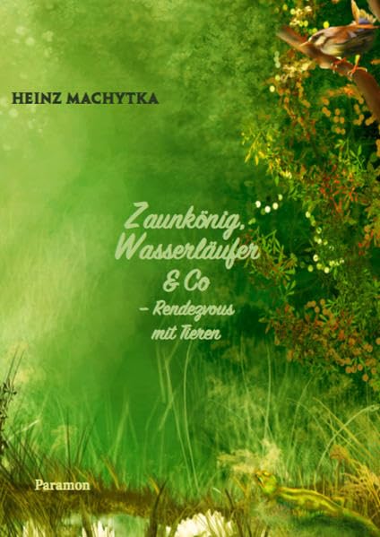 Zaunkönig, Wasserläufer & Co.: Rendezvous mit Tieren General education
