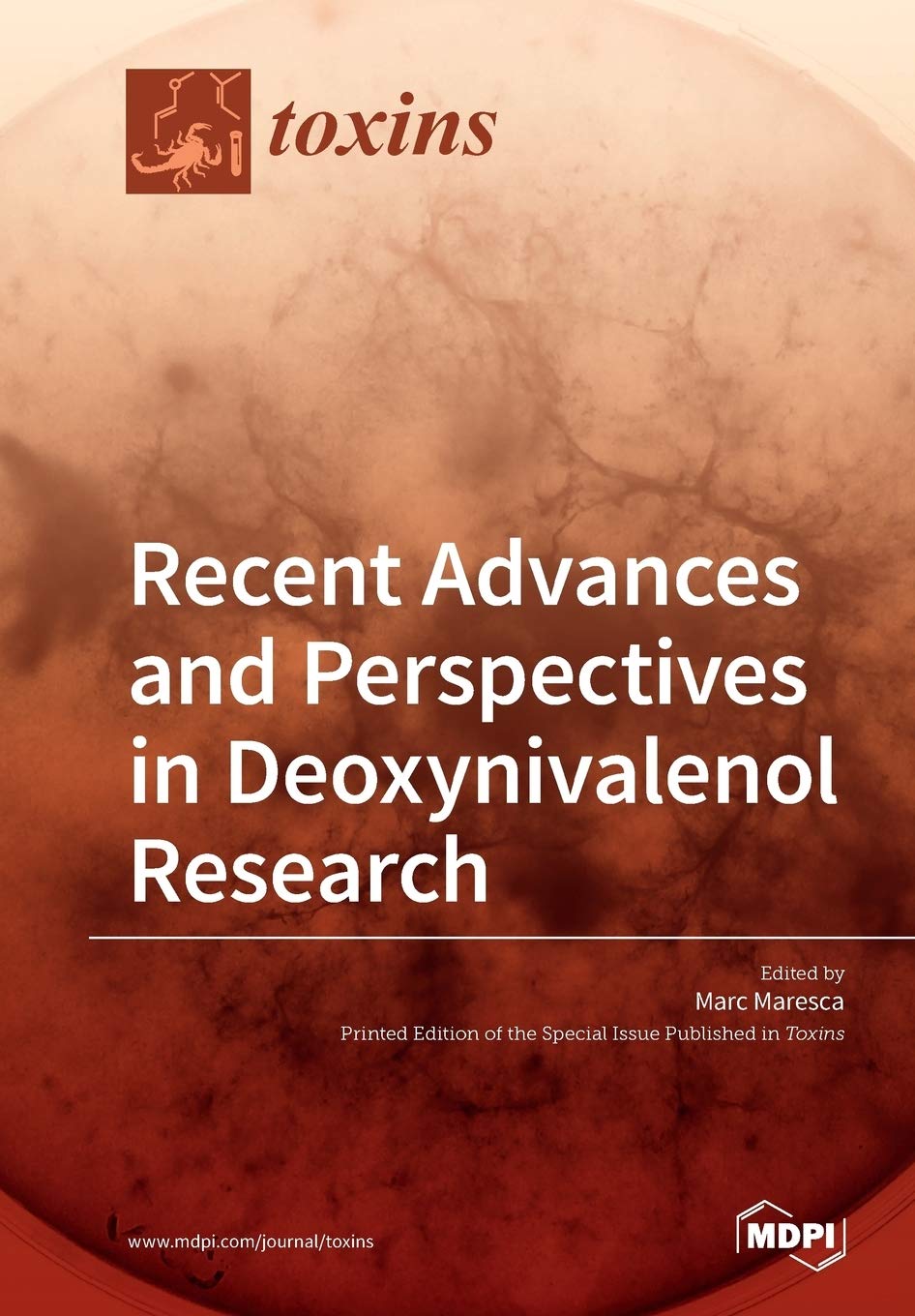 Recent Advances and Perspectives in Deoxynivalenol Research Mathematics