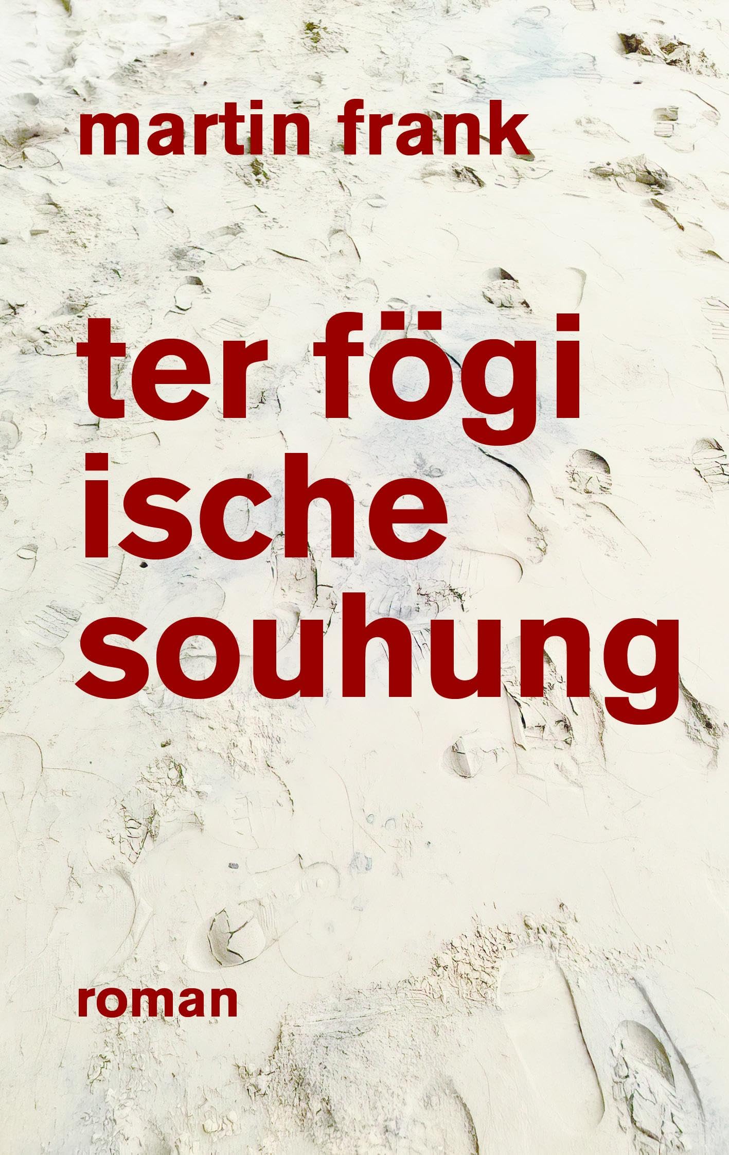 ter fögi ische souhung: Roman Contemporary literature
