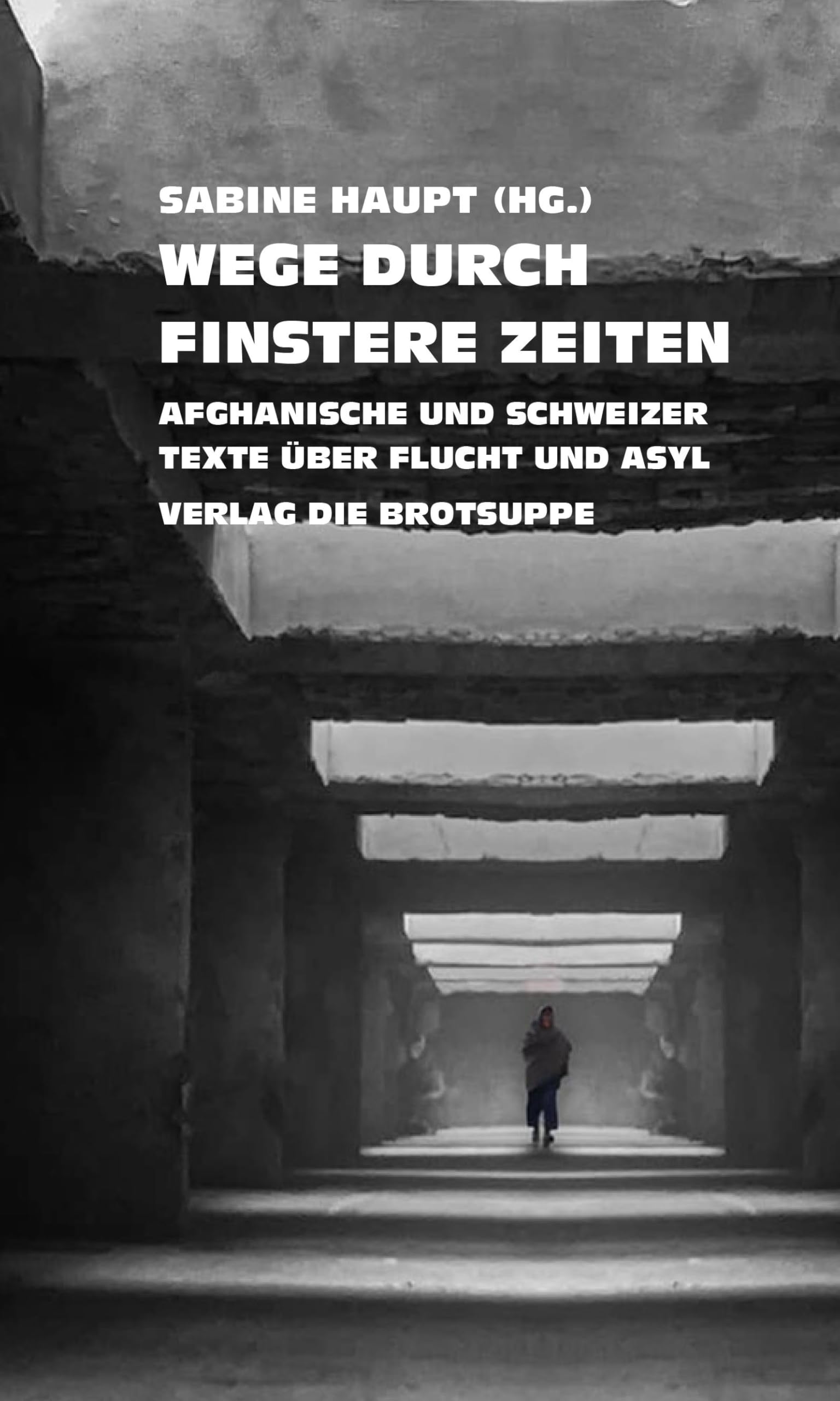 Wege durch finstere Zeiten Contemporary literature