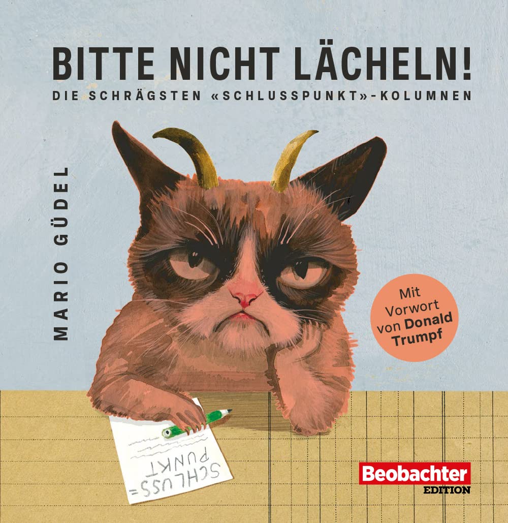 Bitte nicht lächeln!: Die schrägsten «Schlusspunkt»-Kolumnen Contemporary literature
