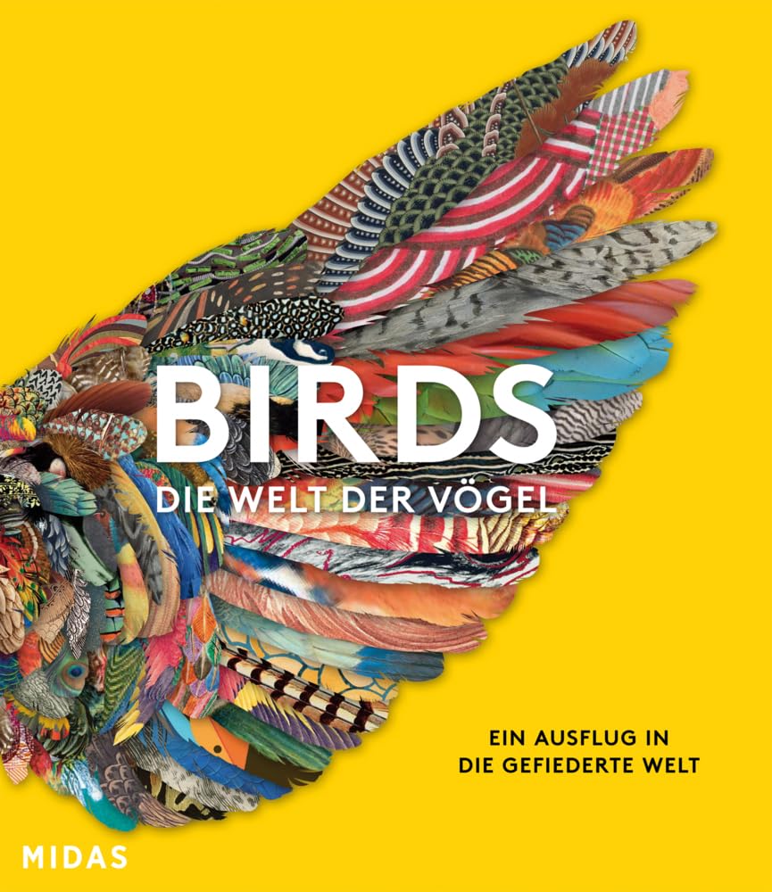 BIRDS - Die Welt der Vögel Film, Art & Culture