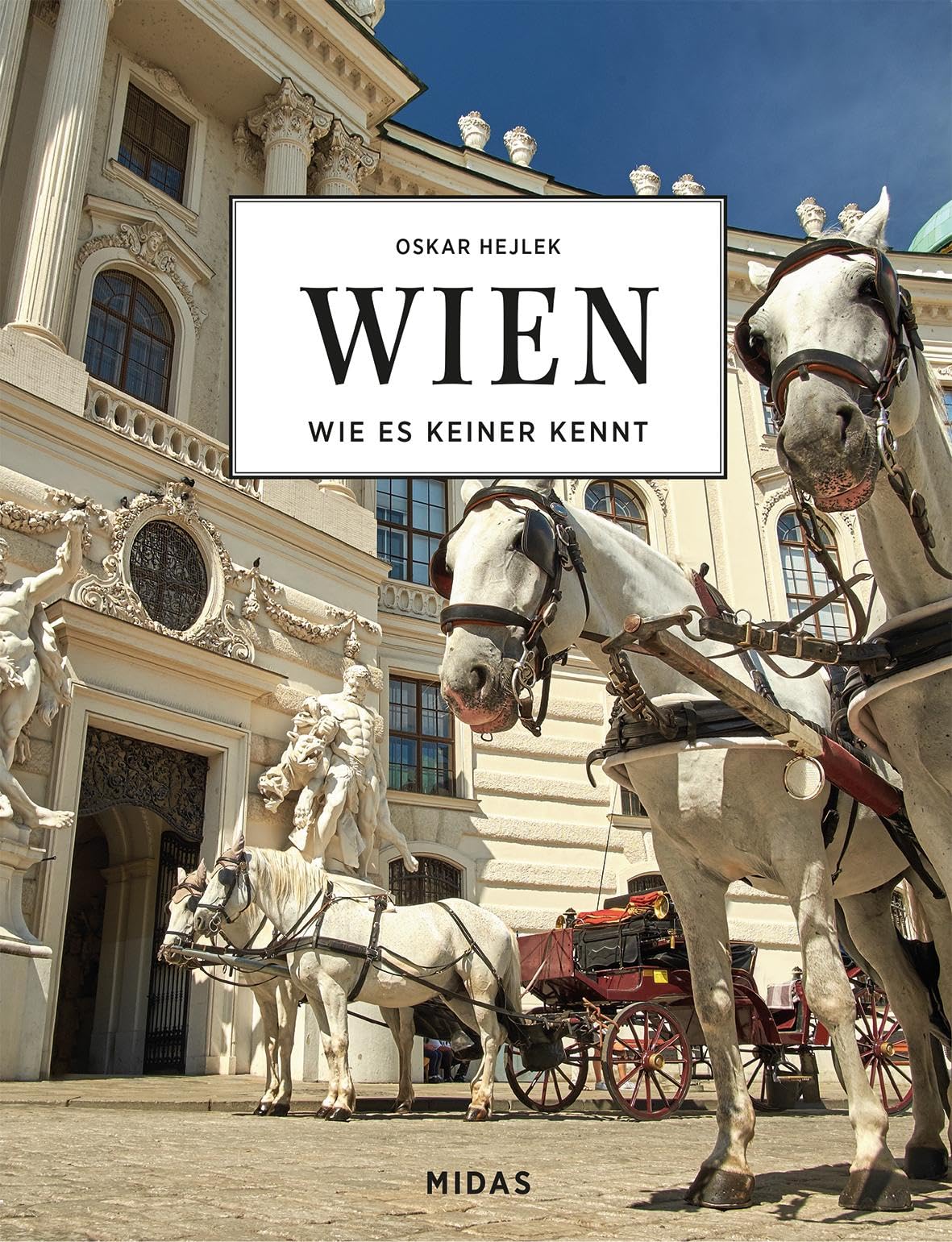WIEN - Wie es keiner kennt book