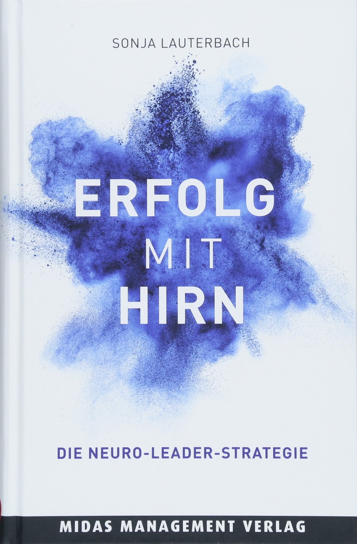 Erfolg mit Hirn: Die Neuro-Leader-Strategie Law