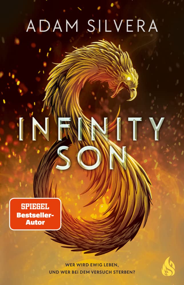 Infinity Son (Bd. 1) Contemporary literature
