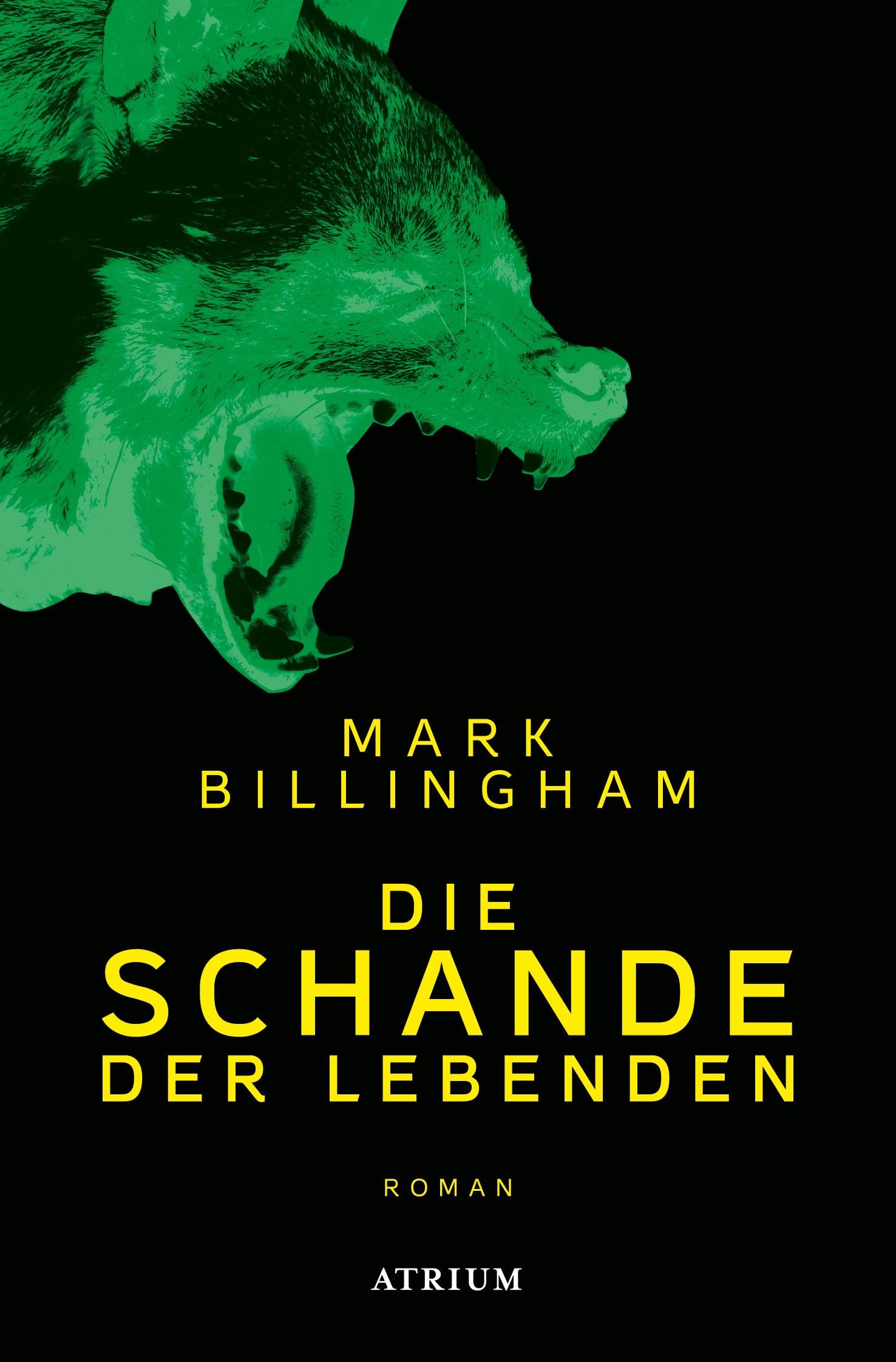 Die Schande der Lebenden Contemporary literature Books