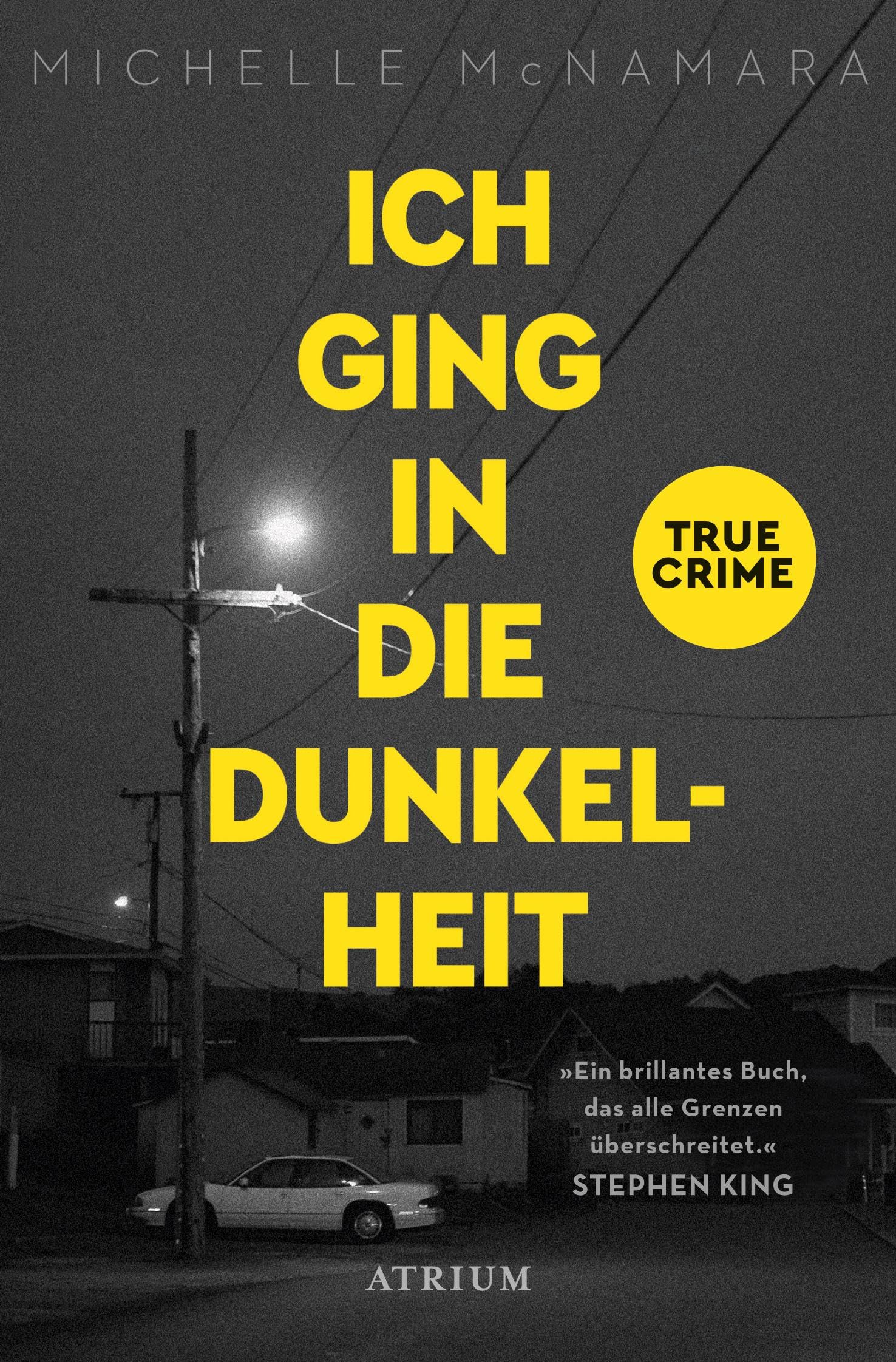 Ich ging in die Dunkelheit Contemporary literature