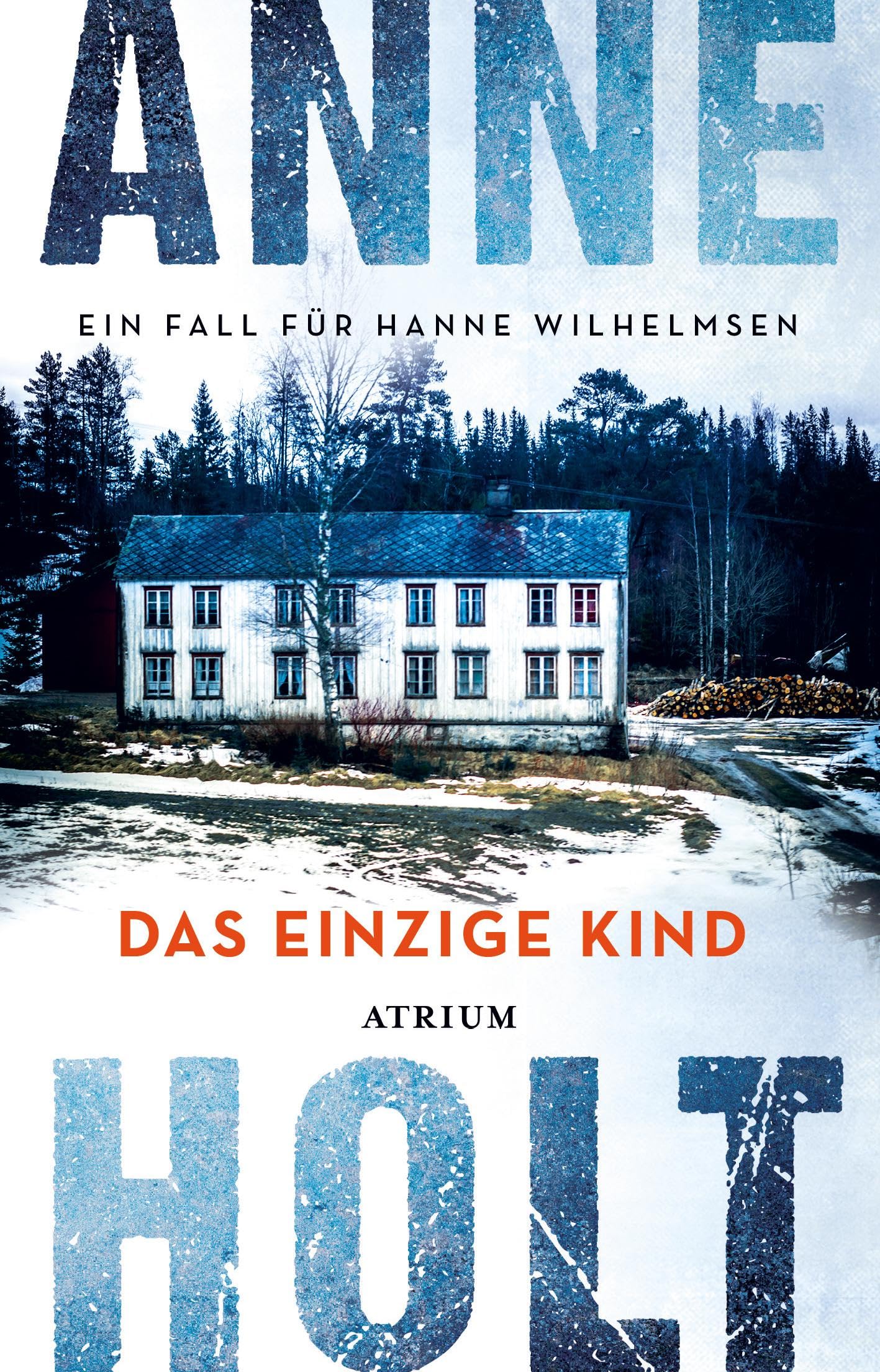 Das einzige Kind Contemporary literature Books