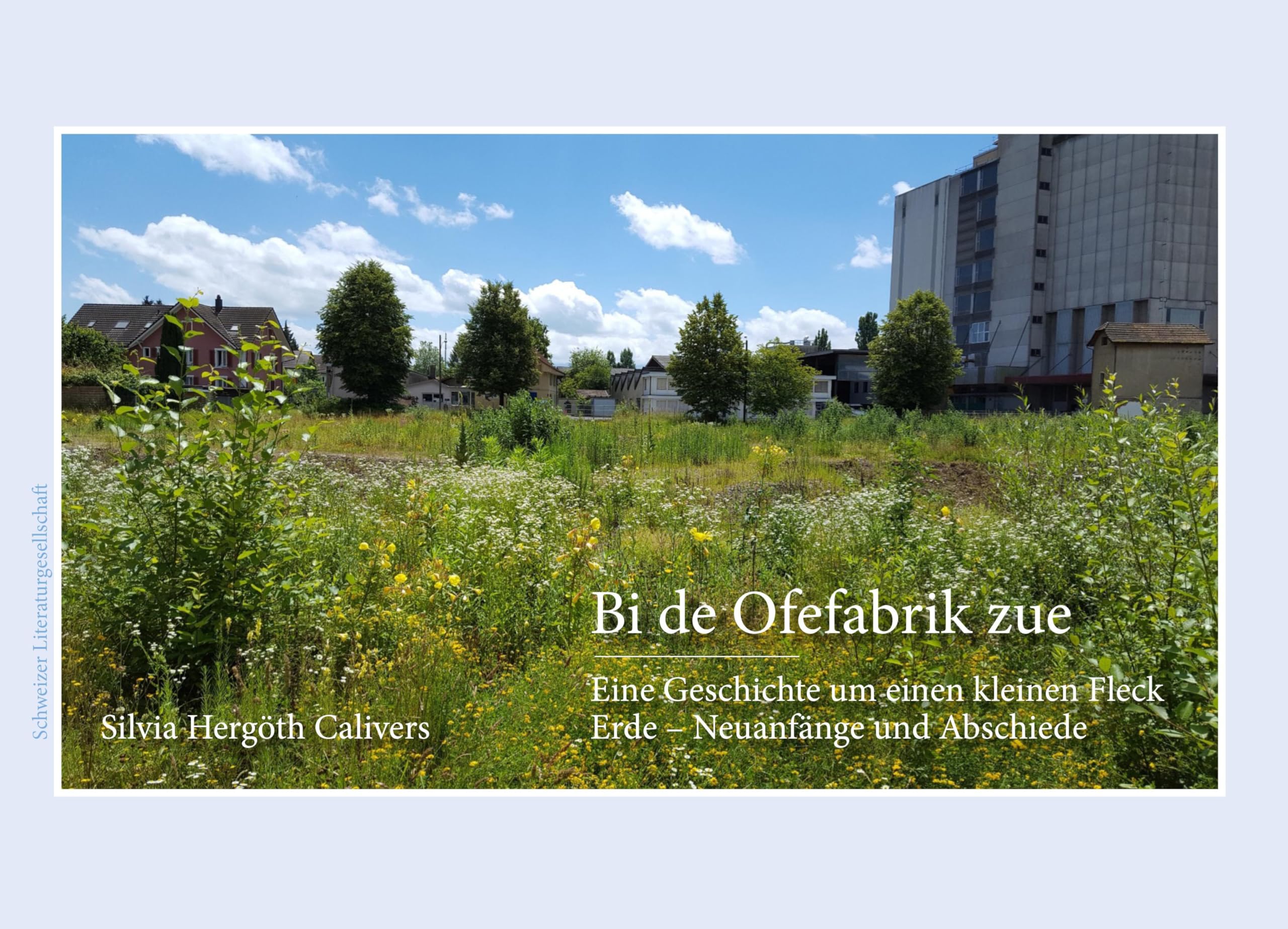 Bi de Ofefabrik zue: Eine Geschichte um einen kleinen Fleck Erde - Neuanfänge und Abschiede book