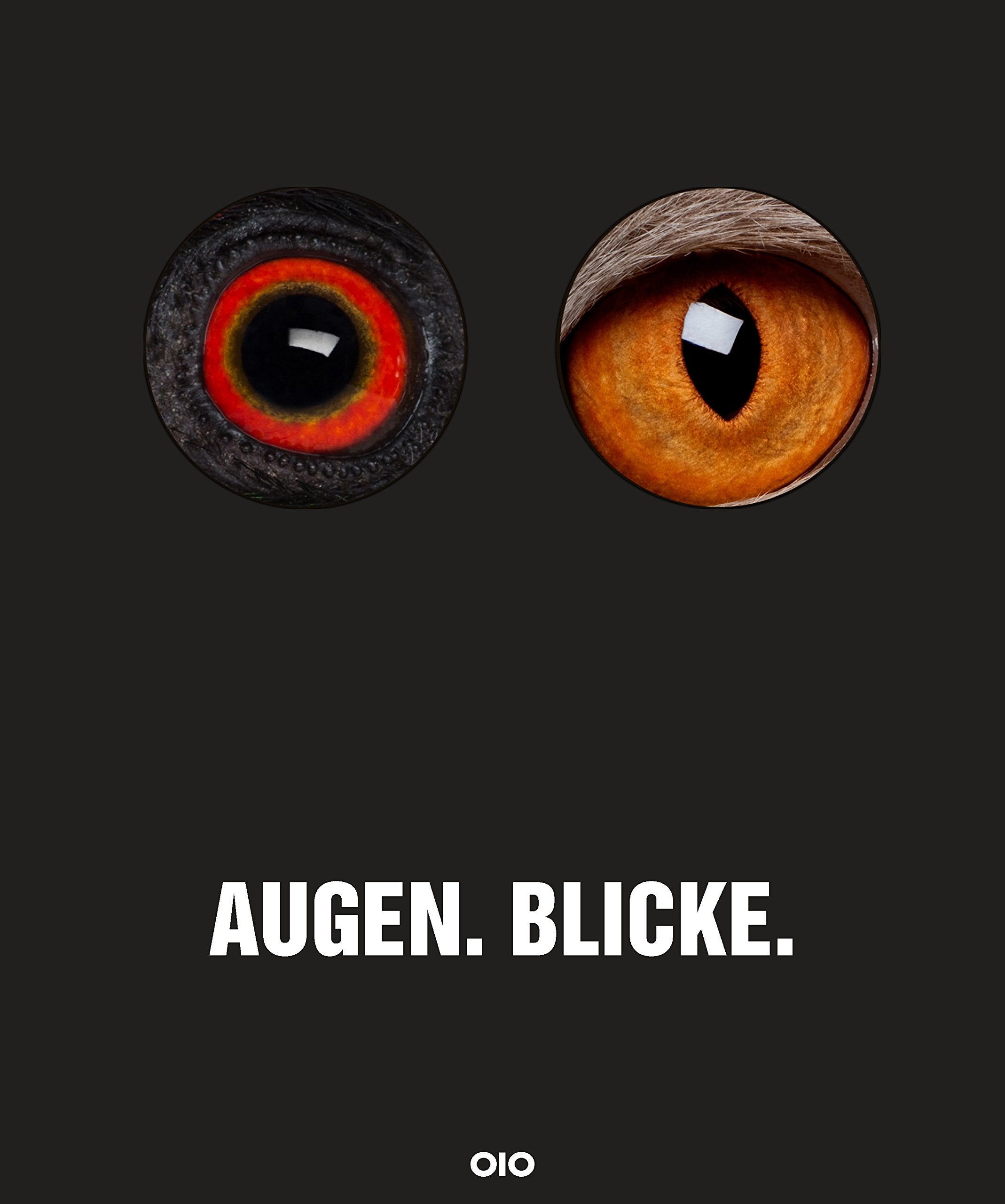 Augen.Blicke.: Eyecatcher - Das Wilde sieht uns an Photography