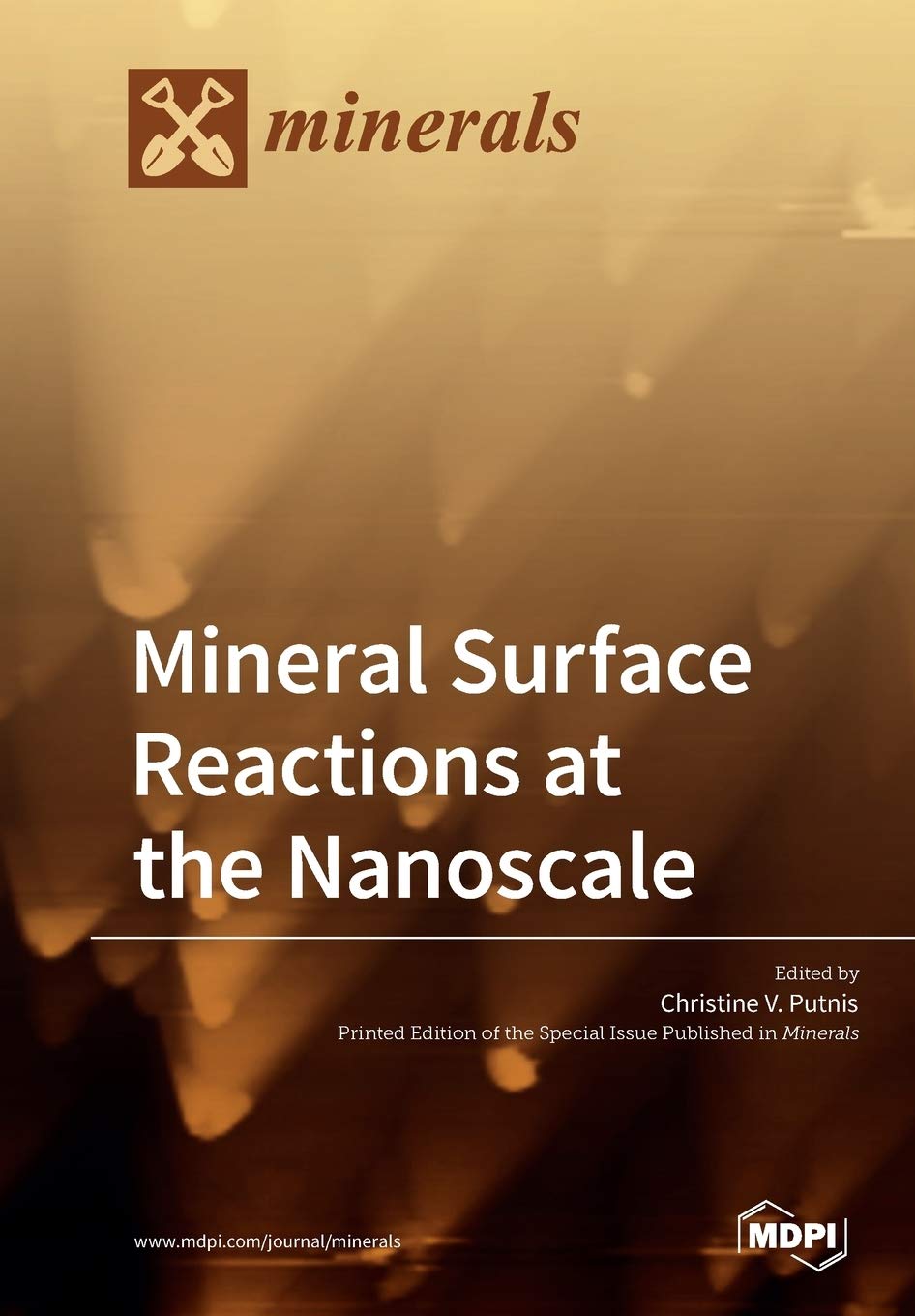 Mineral Surface Reactions at the Nanoscale Medicine