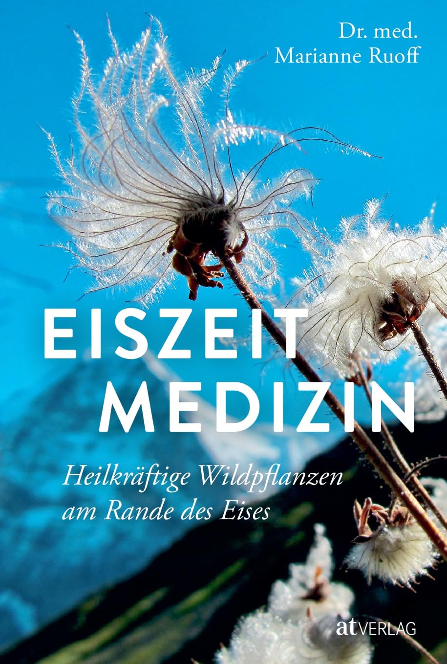 Eiszeitmedizin Health, Nutrition & Fitness Books
